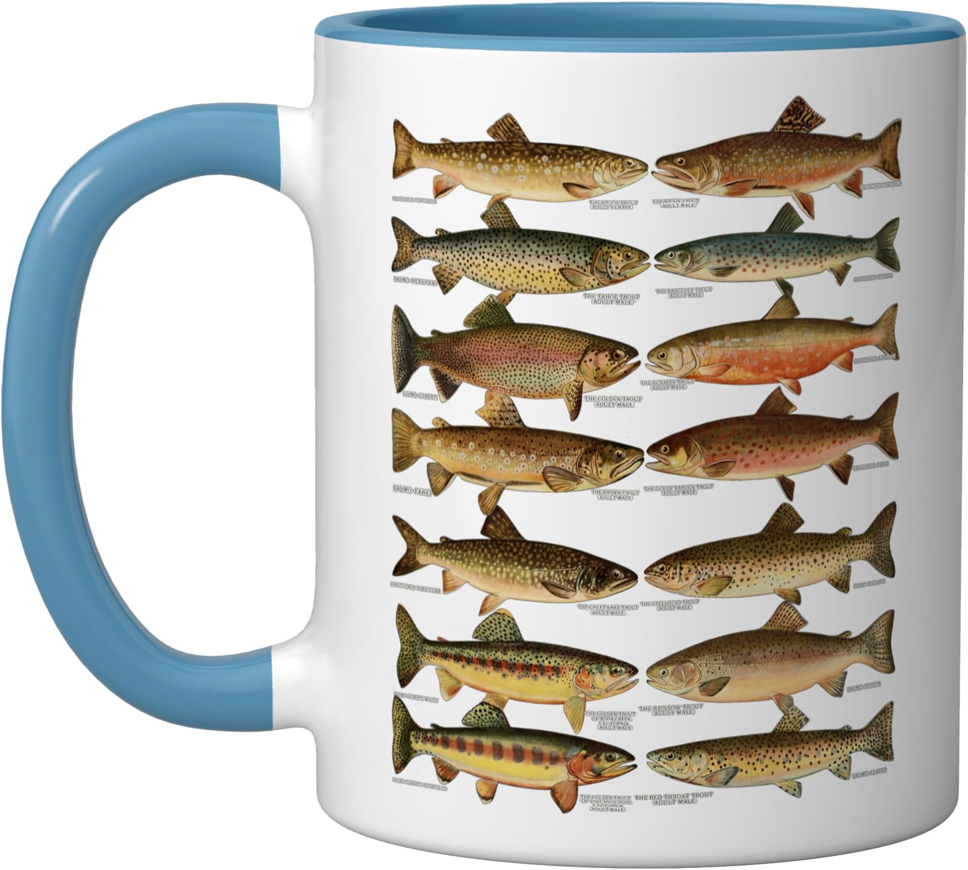 Types of Trout Fish Species Fishing Gift Ceramic Mug, Blue/White