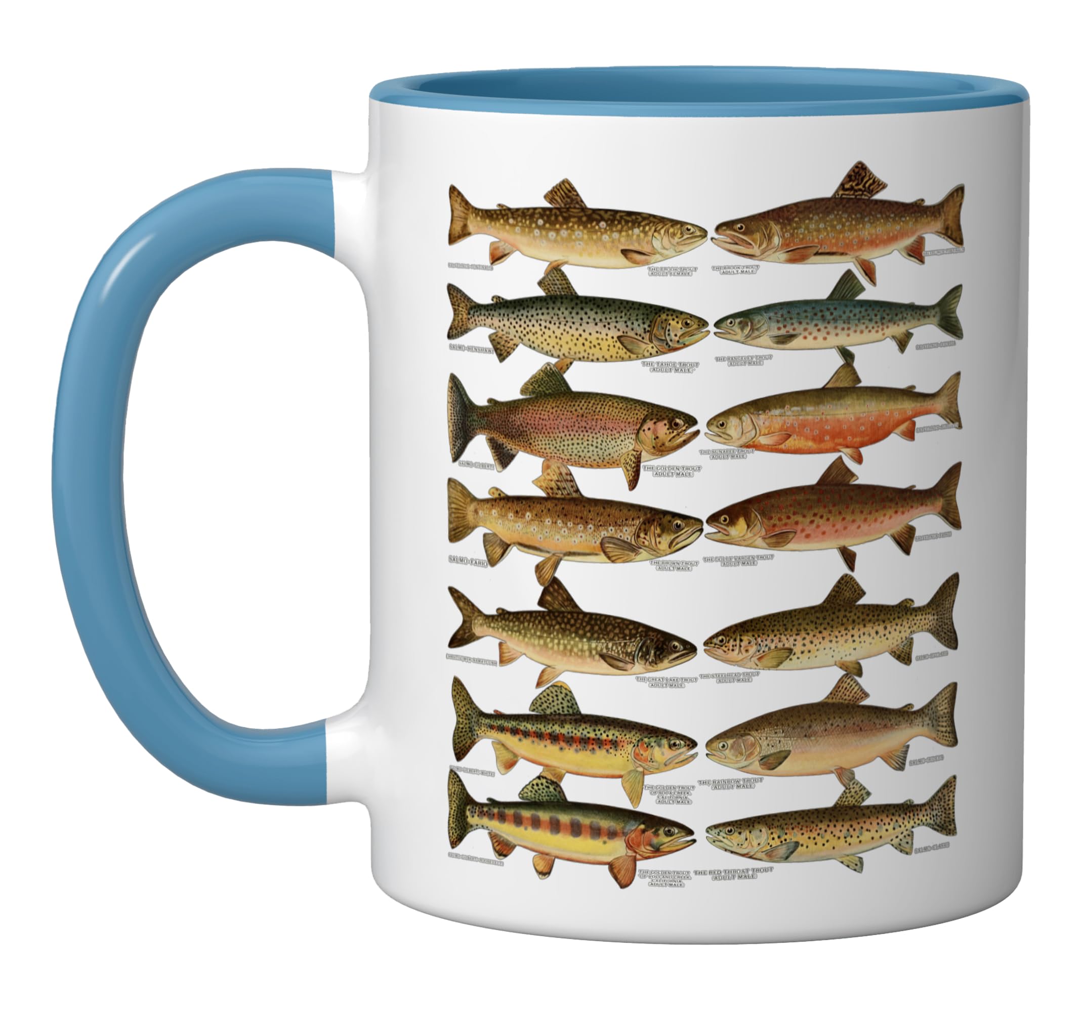 Types of Trout Fish Species Fishing Gift Ceramic Mug, Blue/White