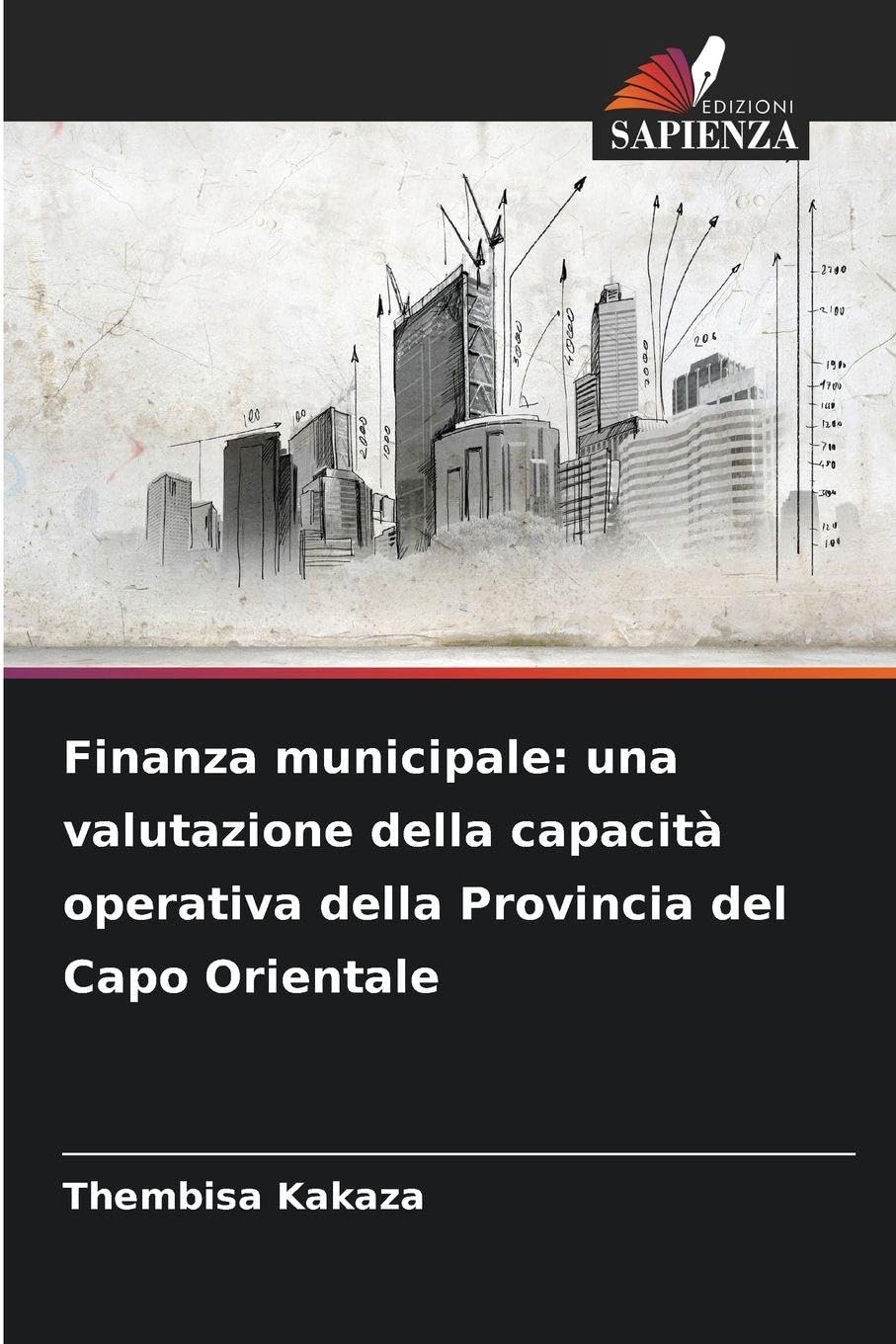 Finanza municipale: una valutazione della capacità operativa della Provincia del Capo Orientale
