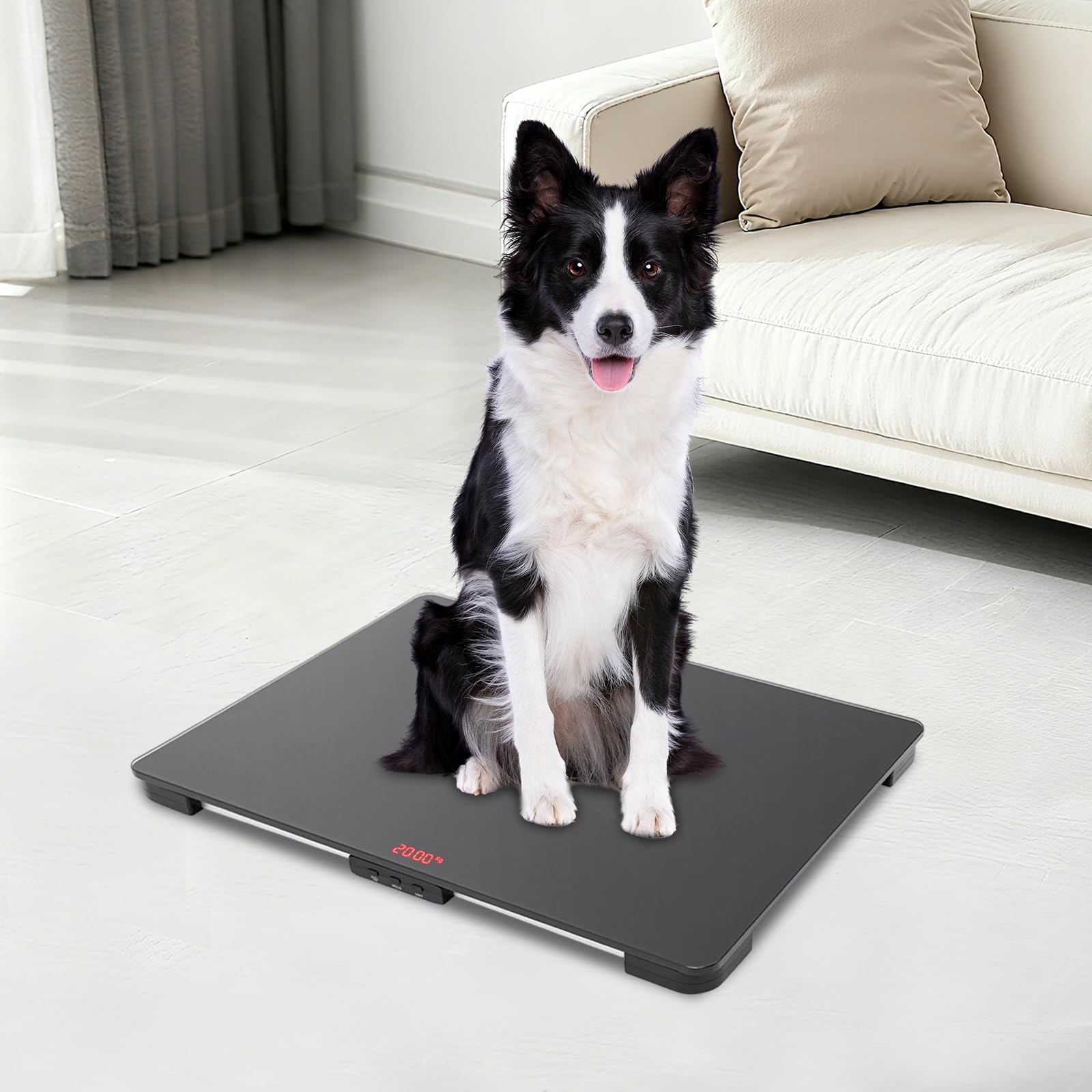Digitale Haustierwaage 100kg/220lbs – Präzise Hundewaage mit LCD Display & Tara-Funktion, 6mm Sicherheitsglas, für große Hunde, Katzen, Welpen – Tierwaage mit kg/lb/oz Umschaltung