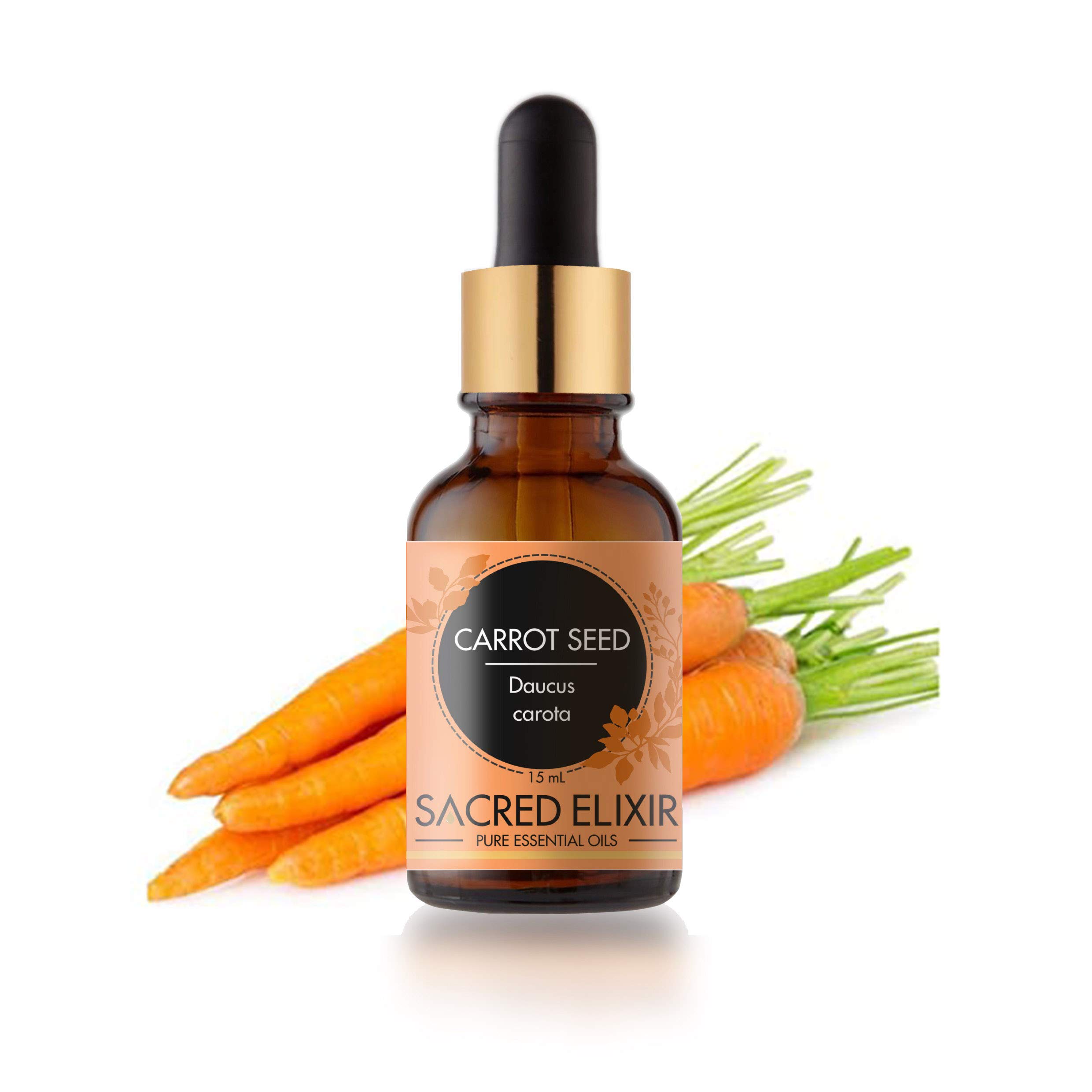 Sacred Elixir French Carrot Seed Essential Oil, 15ml Undiluted, 100% Pure and Natural for Healthy skin- Therapeutic grade for aromatherapy