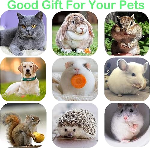 Miniatura 5 de Juguetes para gatos, paquete de 10 juguetes de hierba gatera Silvervine Chew Stick, limpieza de dientes de gatito Matatabi Mint Snack Dental Molar