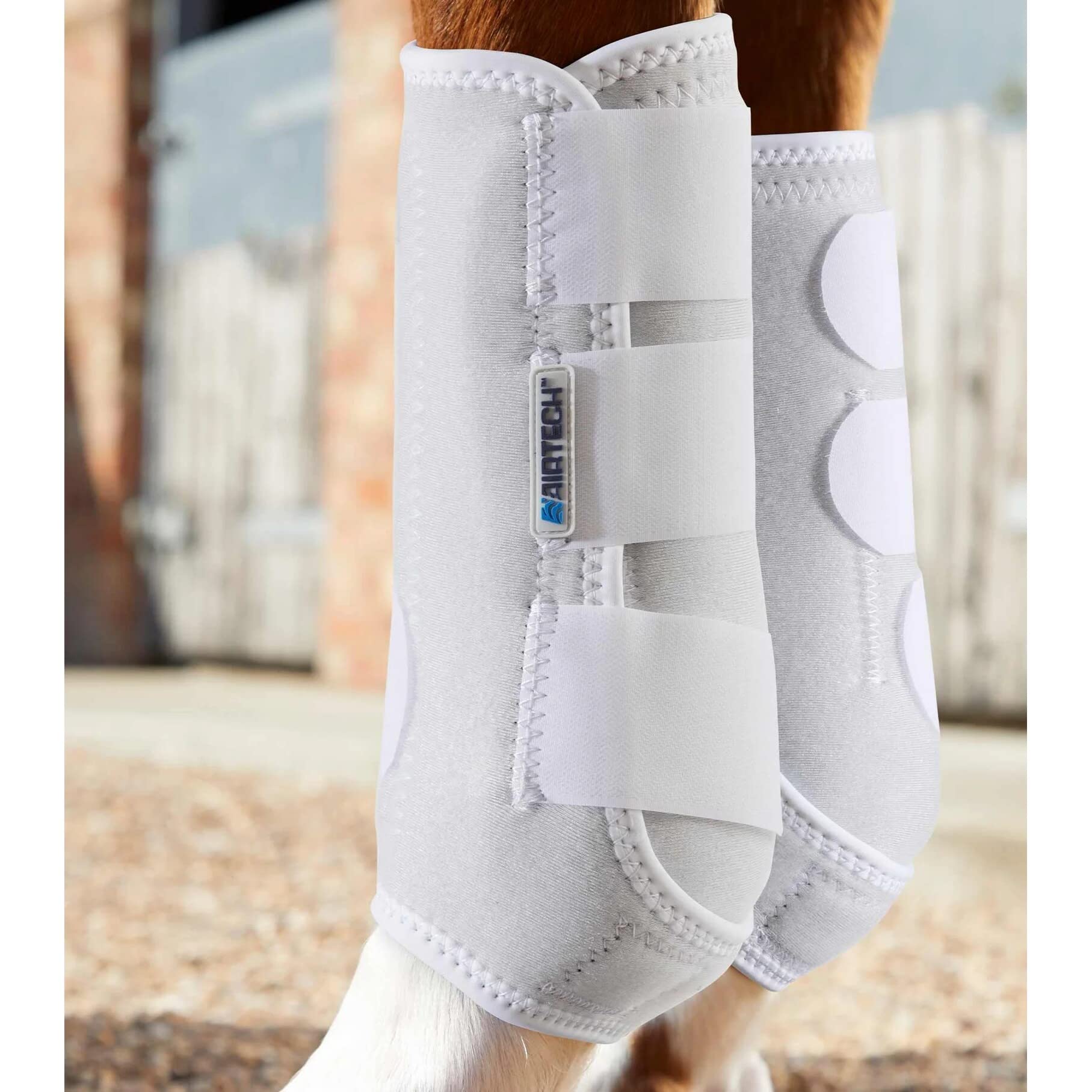 Bottes à Brosser Premier Equine Air Tech – Blanches – Taille Moyenne – Occasion