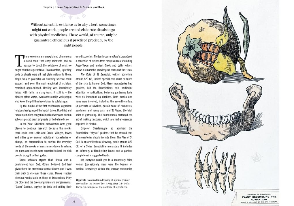 Witch's Garden: Plants in Folklore, Magic and Traditional Medicine