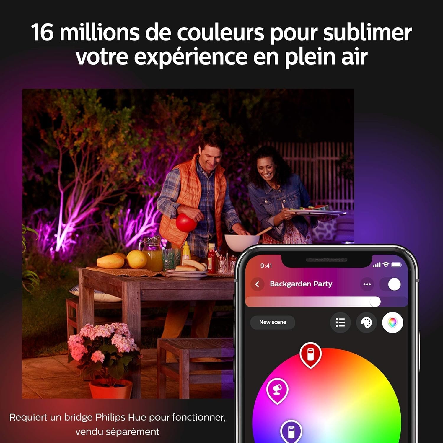 Philips Hue White & Color Ambiance Projecteur Extérieur DISCOVER, Éclairage extérieur en Aluminium Noir, Projecteur lumière compatible avec Alexa, Google Assistant et Apple Homekit