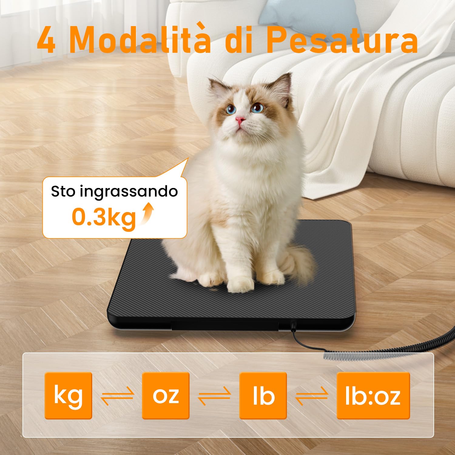 Bilancia Pesa Pacchi Digitale 200kg Professionale con Display LCD da Parete