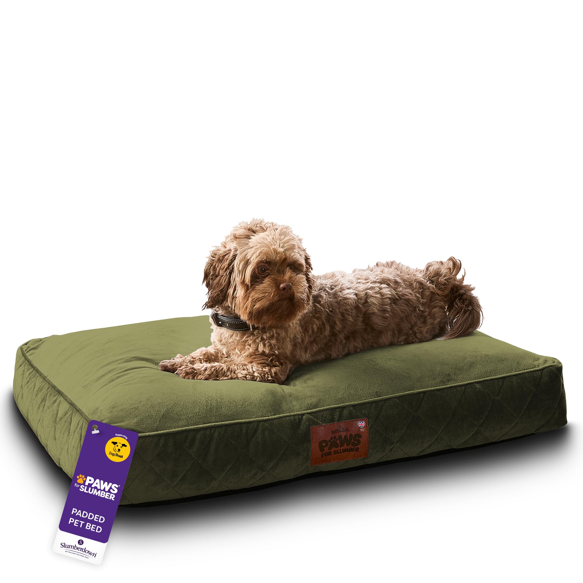 Slumberdown Luxury Padded Dog Bed Medium (60 * 80 * 20cm) - Supportive, Cushioned & Washable Crate Mattress for Puppies, Dogs & Cats | Orthopedic, UK-Made, Non-Slip Base, Green — image 1