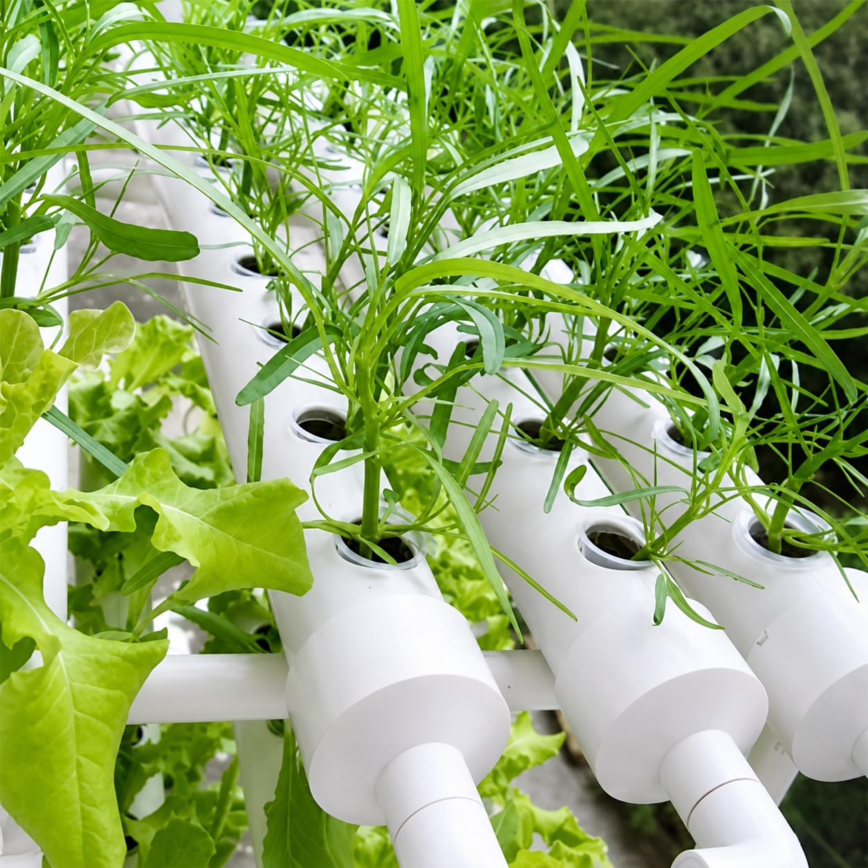 216 Site - Kit de cultivo hidropónico de 4 capas, sistema de cultivo de 24 tubos con bomba de agua para verduras, hierbas y frutas de hoja (4 capas y 20 tubos)