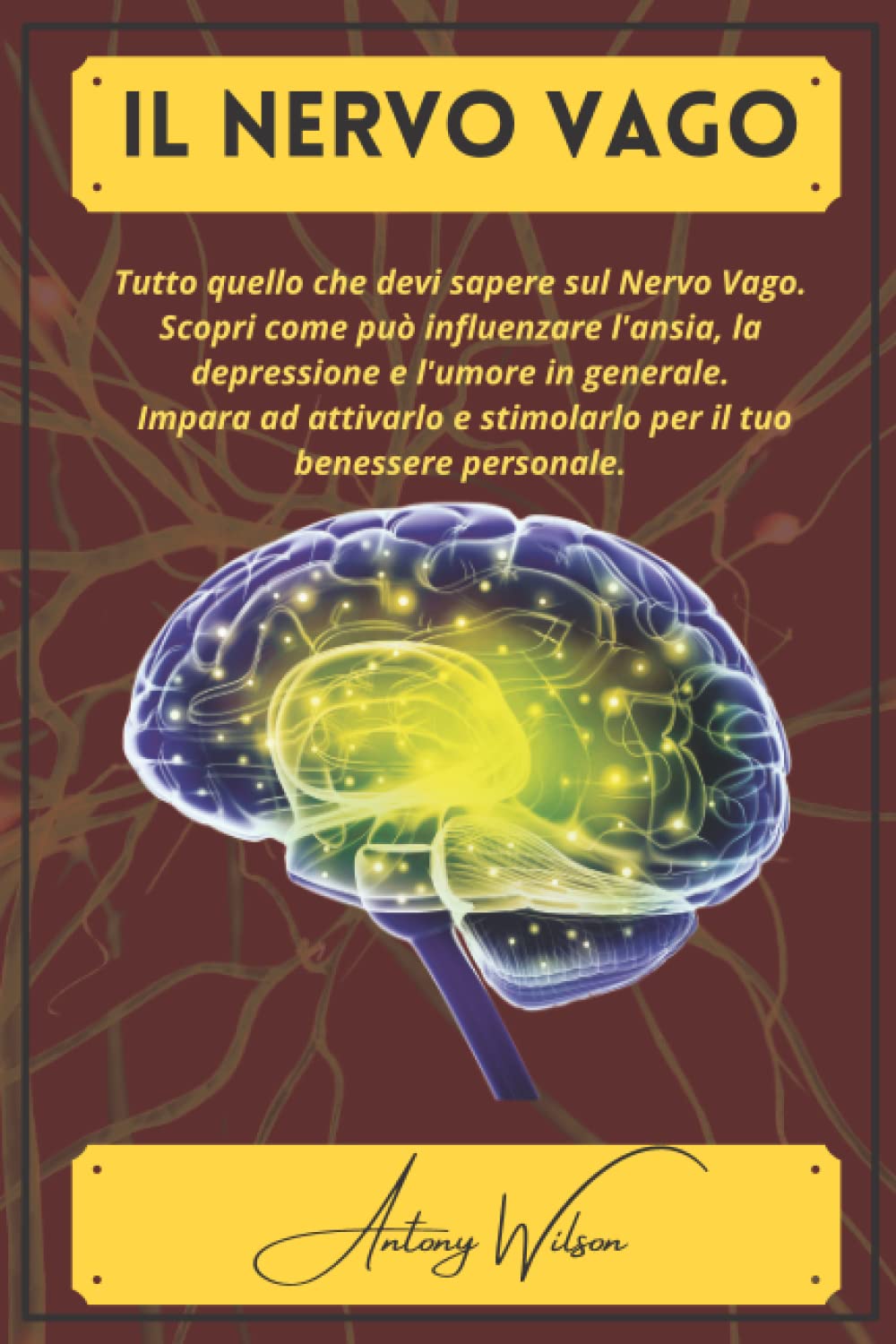 IL NERVO VAGO: Tutto quello che devi sapere sul nervo vago. Scopri come può influenzare l'ansia, la depressione e l'umore in generale. Impara ad ... il tuo benessere personale. (Italian Edition)