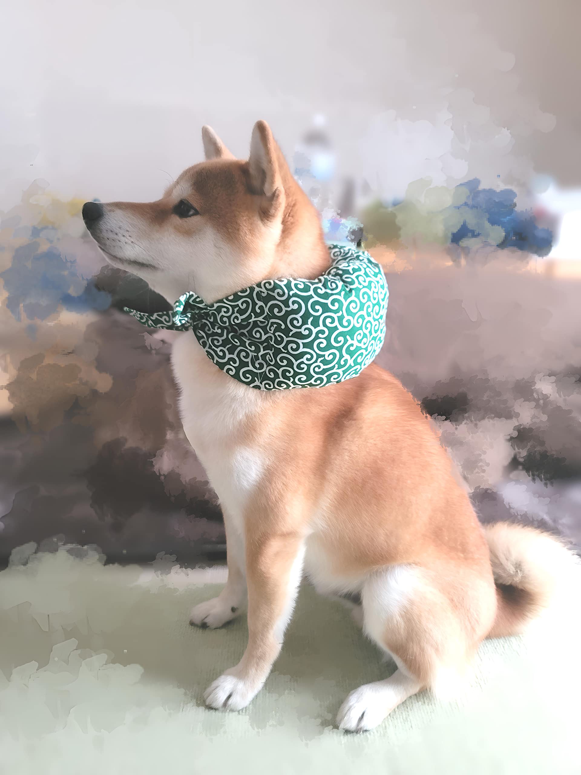 Amazon | Chelien 柴犬 唐草模様 エリザベスカラー バンダナ 旅行