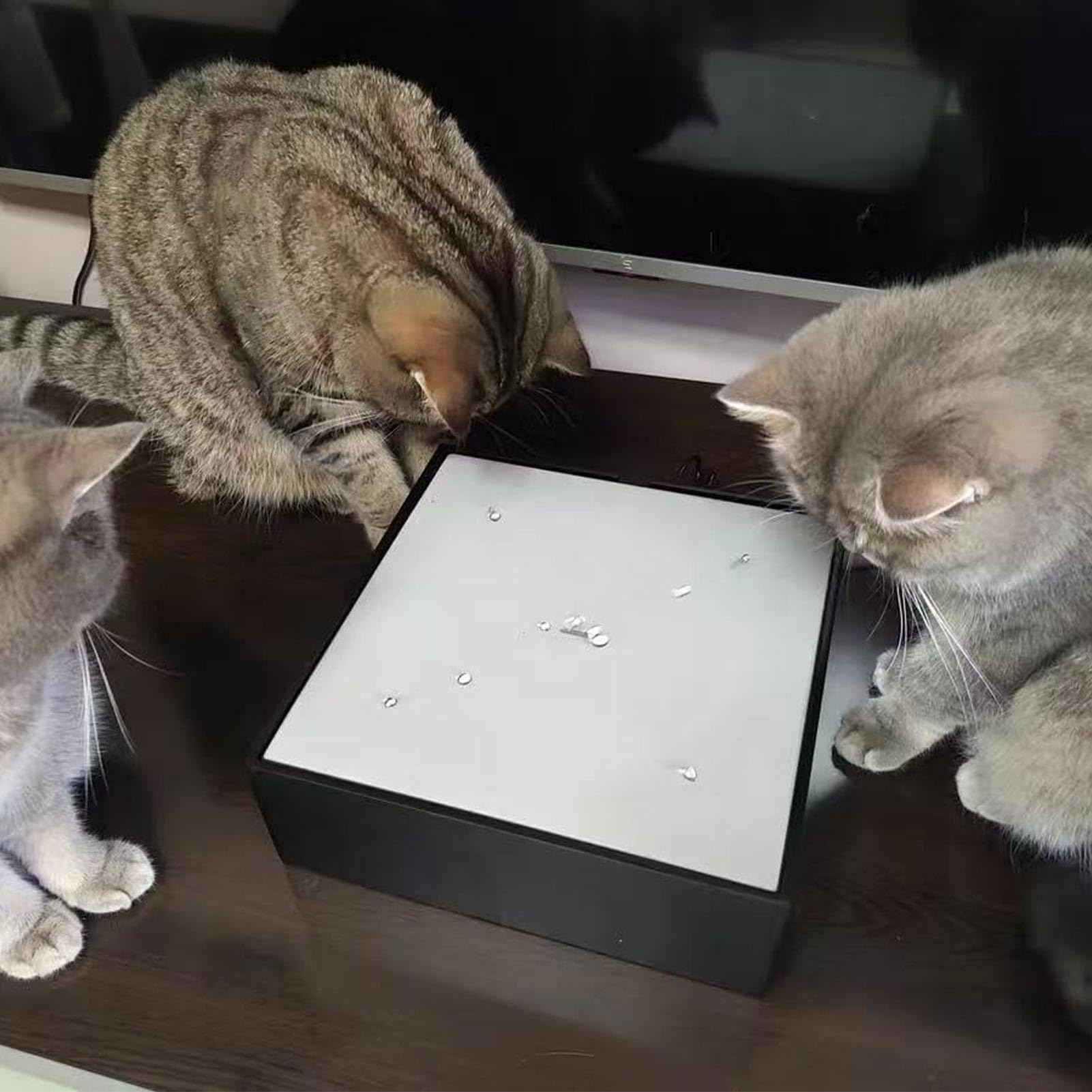 Juguete Interactivo para Gatos, Juguete automático con Efecto de Agua, Entretenimiento para Gatos en Interiores, con Efecto de Agua en Movimiento. (Plug in)