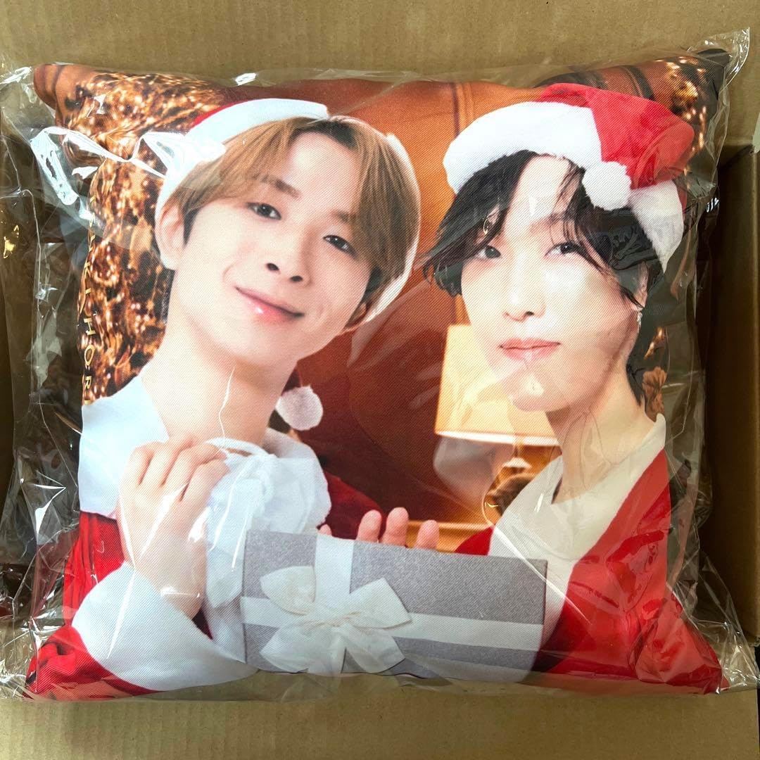 FANTASTICS 堀夏喜 クッション ファンタスティックス