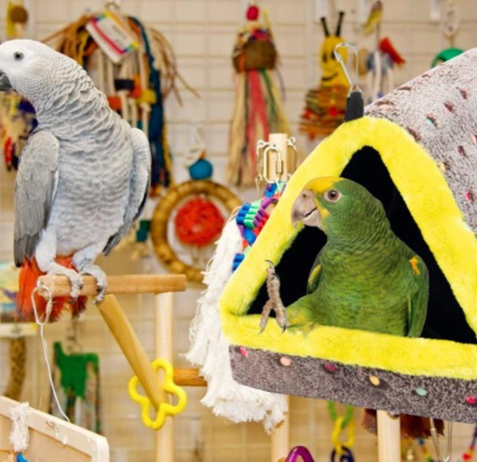 Hamaca para Mascotas Jaula para Mascotas Hamaca Nido de pájaro Hamaca para Loro Nido de pájaro para Mantener el Calor Triángulo Grueso Nido de pájaro Cálido Nido de algodón cómodo