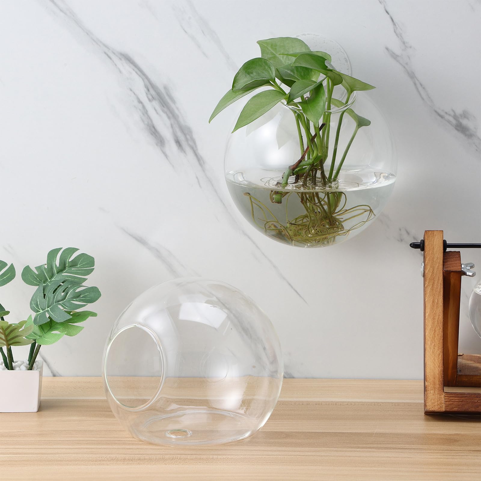 SHINEOFI Jardinières Murales en Verre Transparent Lot de 4 Vases Muraux pour Boutures Station de Propagation Suspendue pour Plantes d'Intérieur Décoration Salon Cuisine