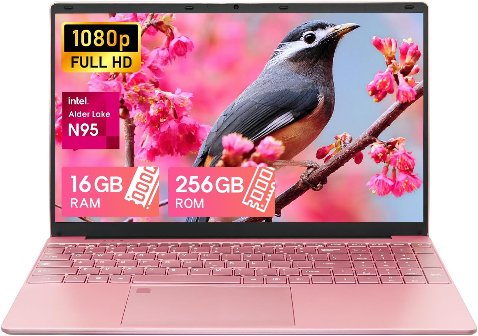 SGIN 15.6 Inch Laptop Windows 11 8GB DDR4 256GB SSD (TF 512GB), Intel