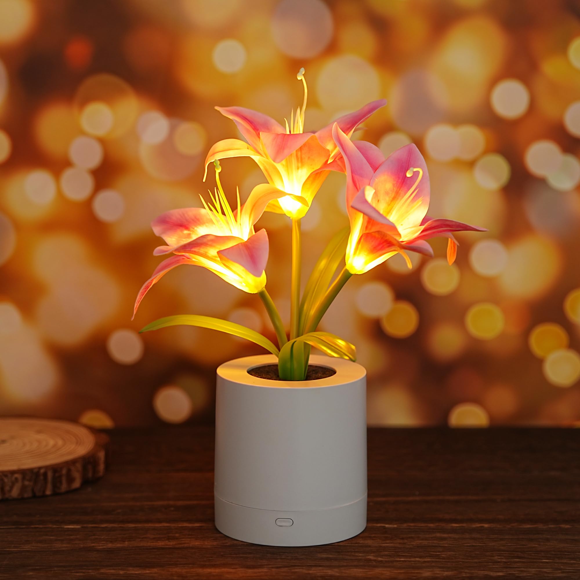 WSYEAR Pink Morning Glory Flowers Table Lamp, Charging Dimmable Cordless Artificial Flower Night Light, Bedroom Office Decor Night Light, Christmas Birthday Gifts for Women Mom â image 1