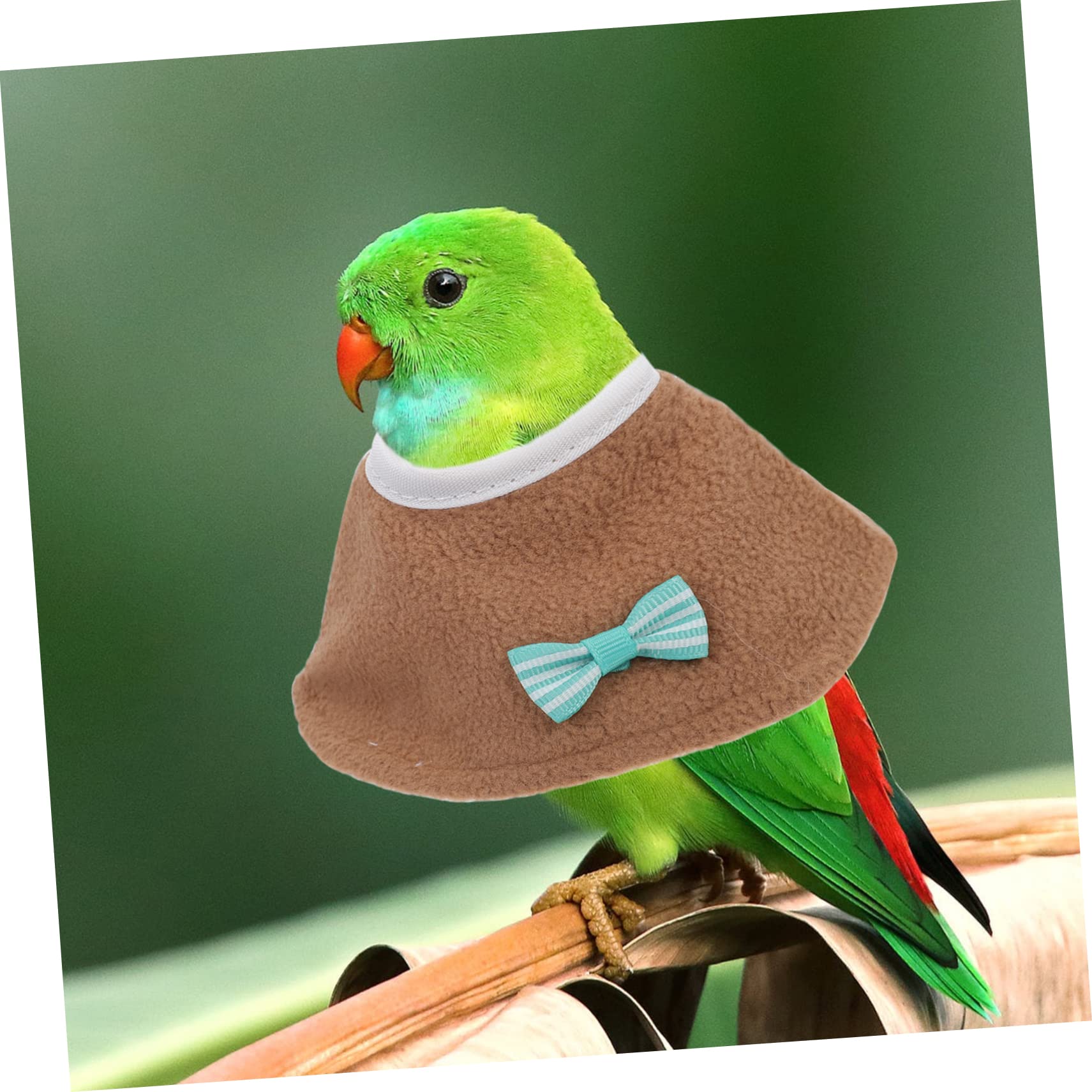 HANABASS Recovery Collar 2 Pcs Bird Healing Cover Biting Plucking Protection Random Color