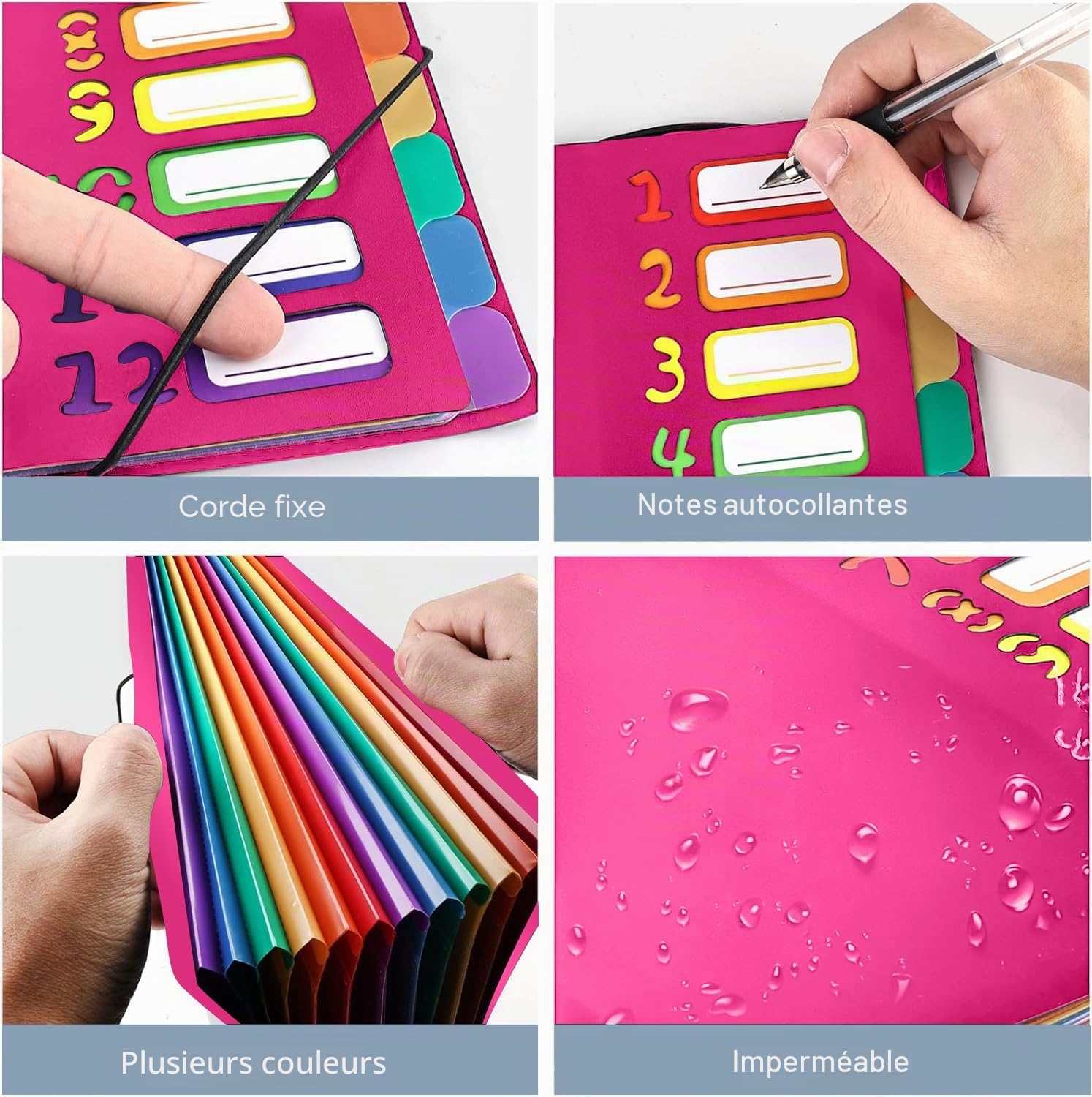 Porte-documents A4, portable, avec 12 compartiments, en plastique polypropylène, avec élastique, étanche, pour l'école, les fournitures de bureau