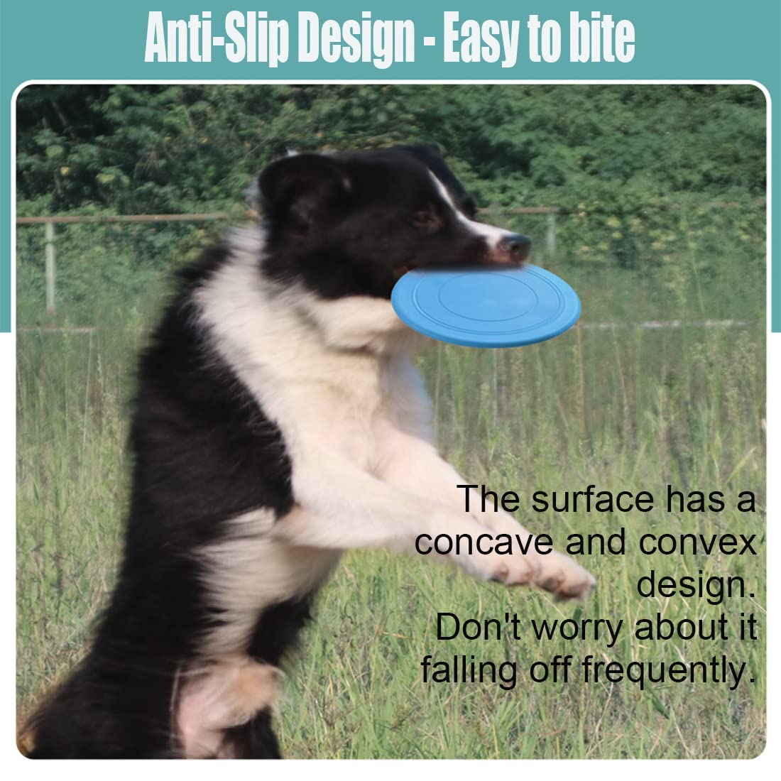coldchill 7 Inch Dog Flying Disc - Image 4
