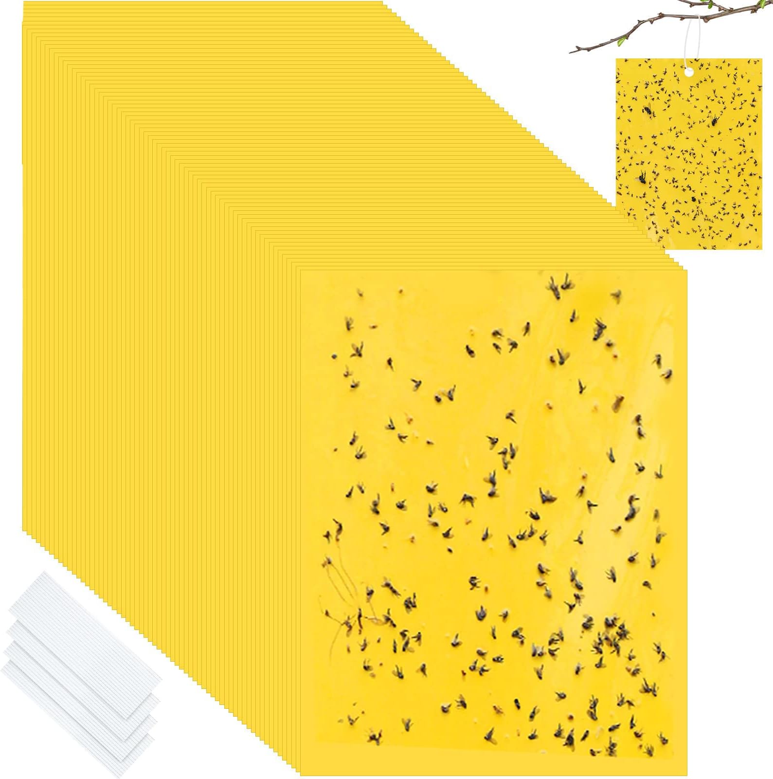 50-Pack Fruit Fly Trap, Yellow Sticky Gnat Traps Killer for Indoor/Outdoor Flying Plant Insect Like Fungus Gnats, Whiteflies, Aphids, Leaf Miners - 6x8 in, Twist Ties Included