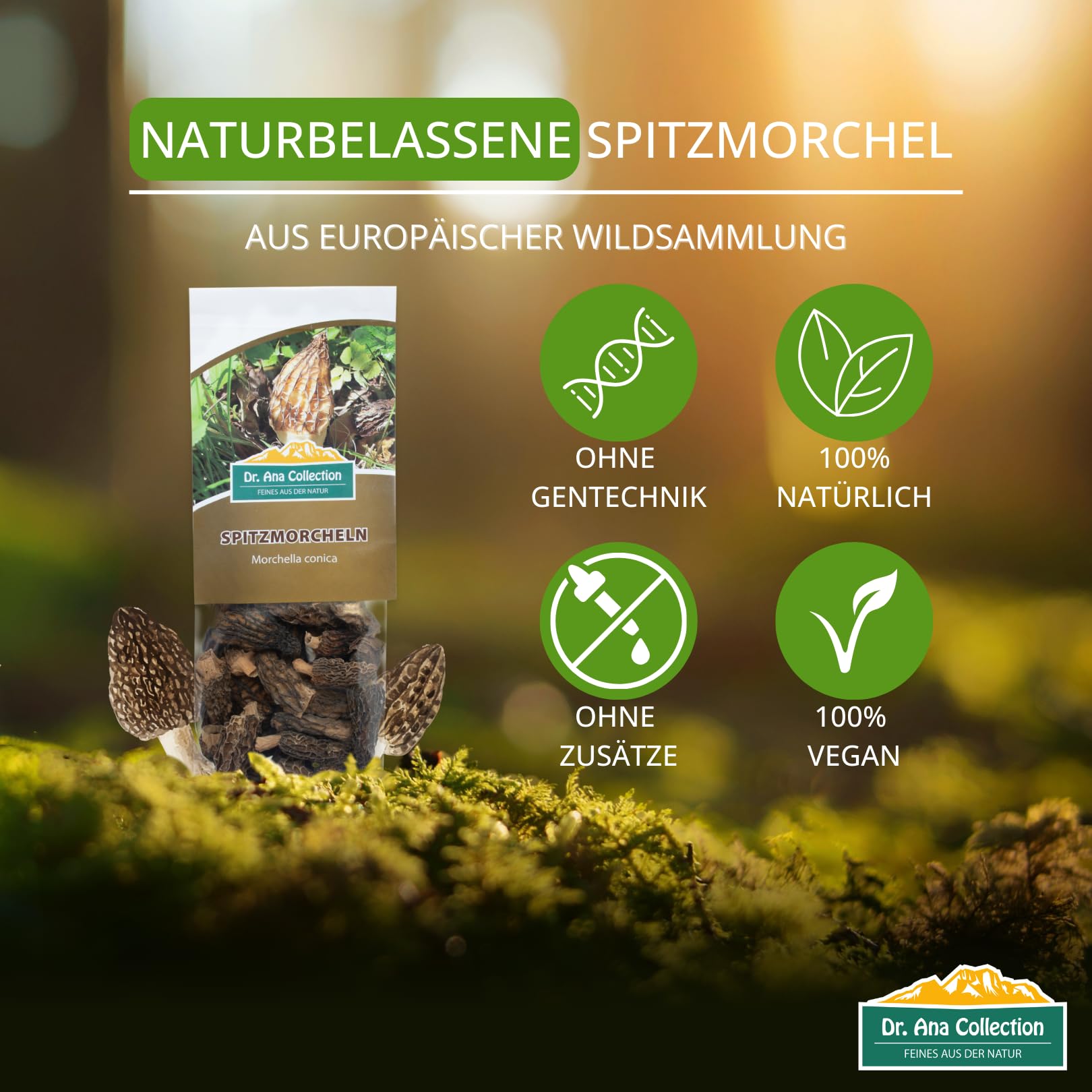 Dr. Ana Collection - getrocknete Spitzmorcheln ganze Köpfe (50g) | ohne Zusatzstoffe - 100% naturbelassen | aus europäischer Wildsammlung | Spitzenqualität