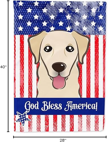 Vista 415 de Caroline's Treasures BB2171GF American Flag and Border Collie Garden Flag Mailbox Flag Decorative Yard Flag Banner Outside Patio Artwork Yard Flower