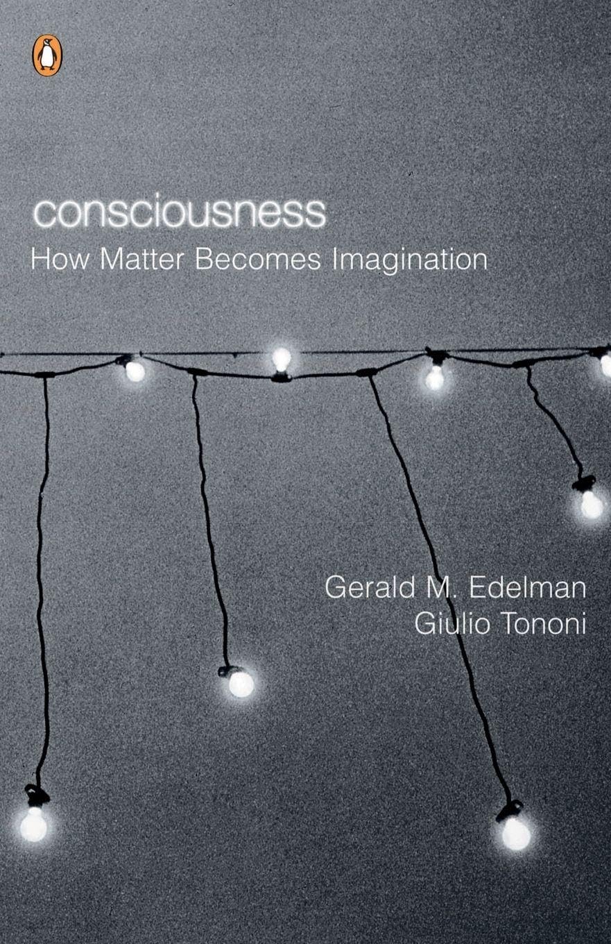 Consciousness: How Matter Becomes Imagination