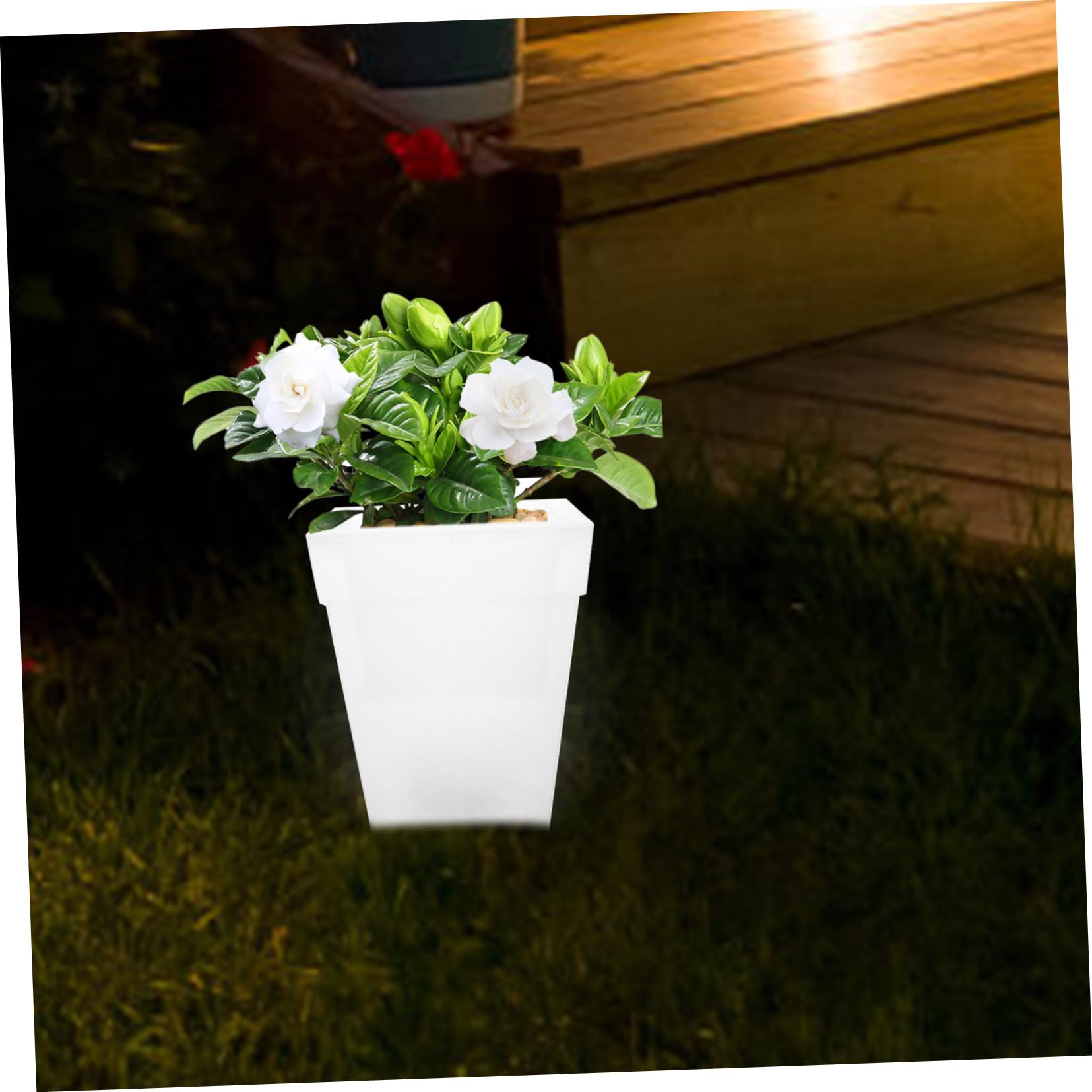 LALAFINA Lampada Fioriera Solare Bianca da Giardino 4 LED e Plastico | Decorazione Luminosa Realistica, per Piante e Cortili, Ip44, 1, 2v 300mah, per Feste All'aperto