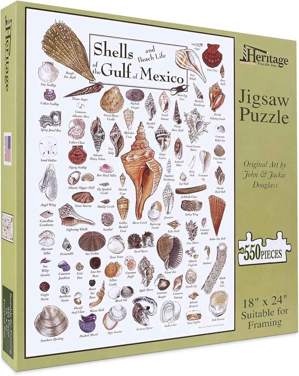 Heritage Puzzle - Shells of The Gulf of Mexico by John and Jackie Leatherbury Douglass 550 Piece Puzzles for Adults - 97 Species of Gulf Coast Shells - Frameable Jigsaw Puzzle 18" x 24" Finished Size