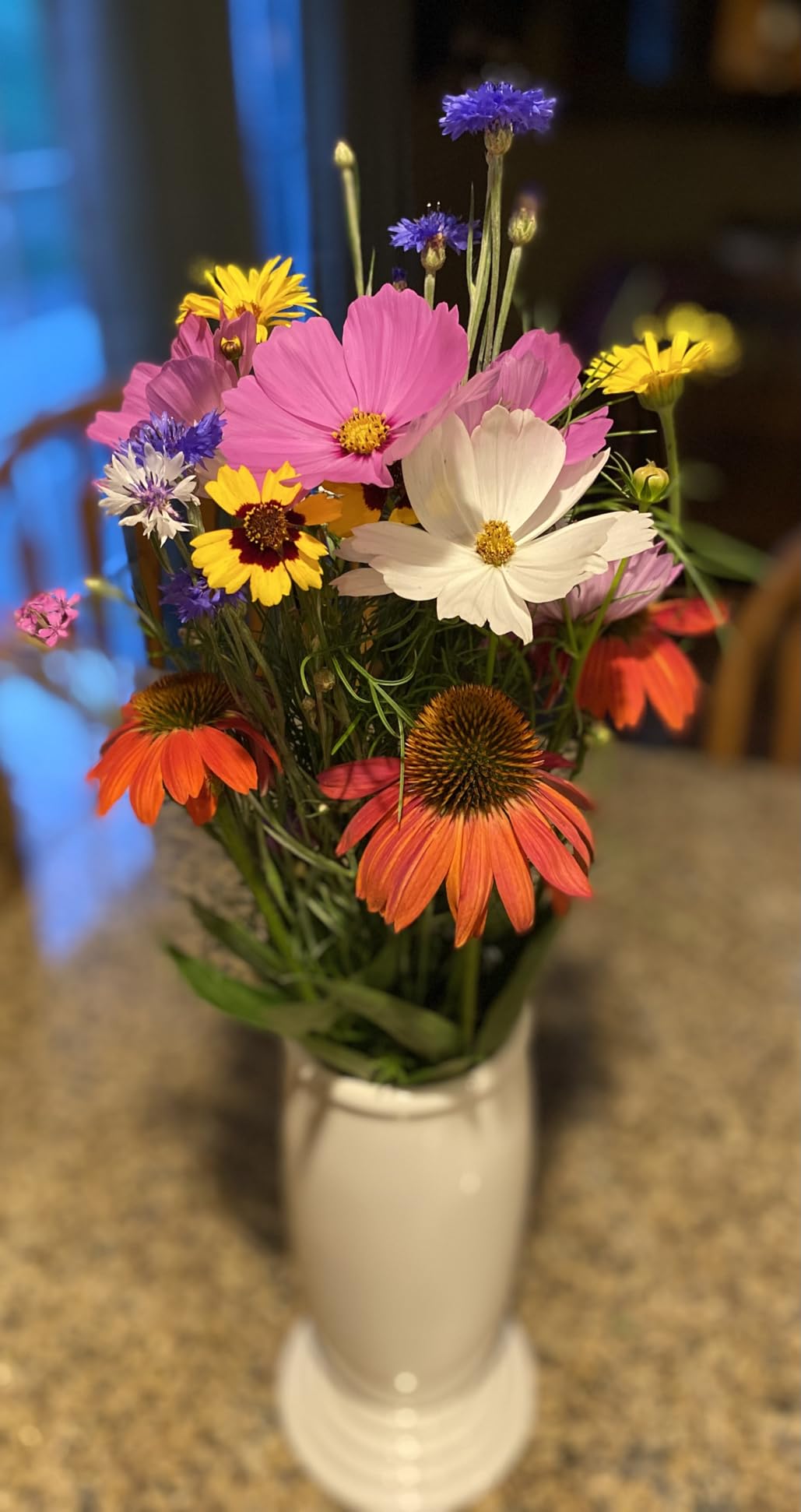 21 Annual Wildflower Seeds Variety Pack - Over 100,000 Non-GMO