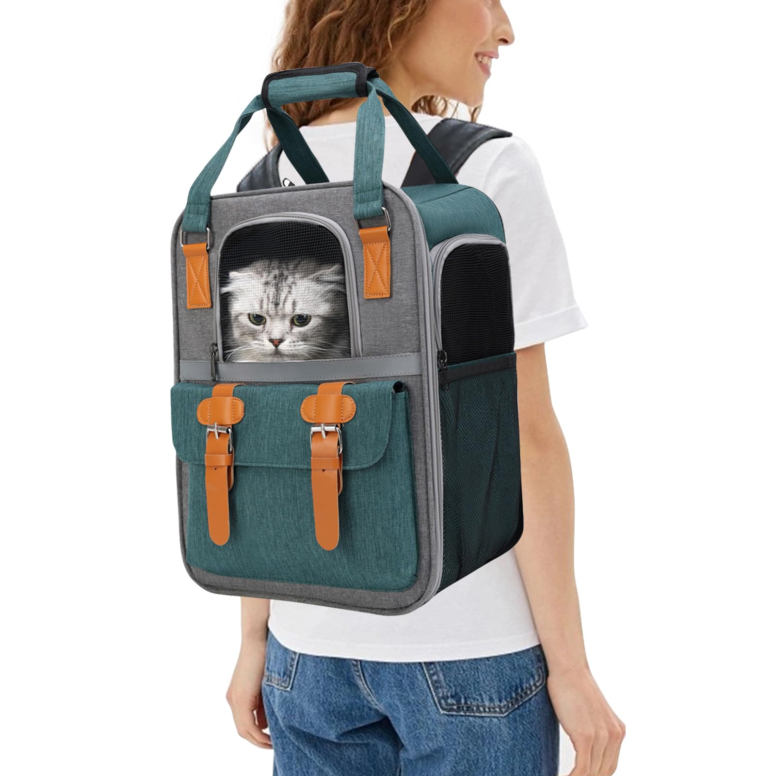 PETCUTE Mochila para Mascotas,Mochila Gatos Transporte, Carga Máxima 7.5Kg,Bien Ventilado Mochila Transportín Gato con Colchón Suave,Correa de Seguridad Interior,para Viajar en Tren/automóvil/avión