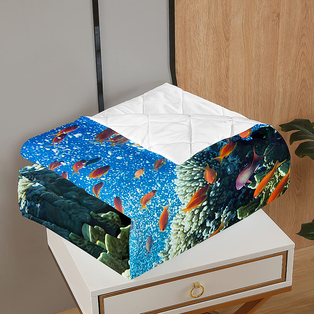 Chickw11 Trapuntino Copriletto Singolo 3D Ocean World - Leone Marino, 150x200cm, Microfibra Goffrata