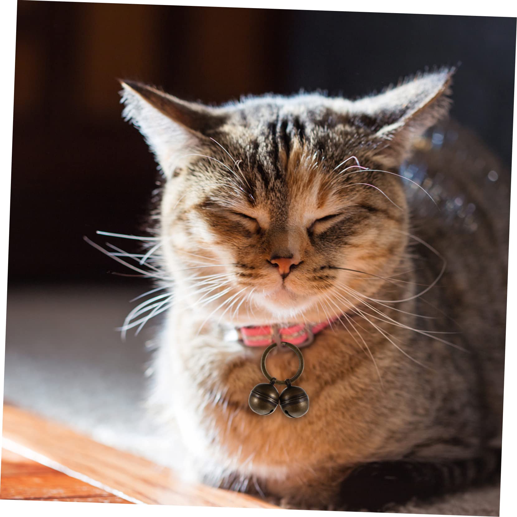 Happyyami 2 Pack Dog Collar Bells Cat Bells Key Ring Bells Diy Bell Accessories Vintage for Home Pet