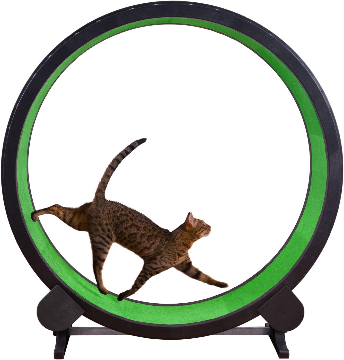 One Fast Cat Exercise Wheel - Green