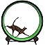One Fast Cat Exercise Wheel - Green