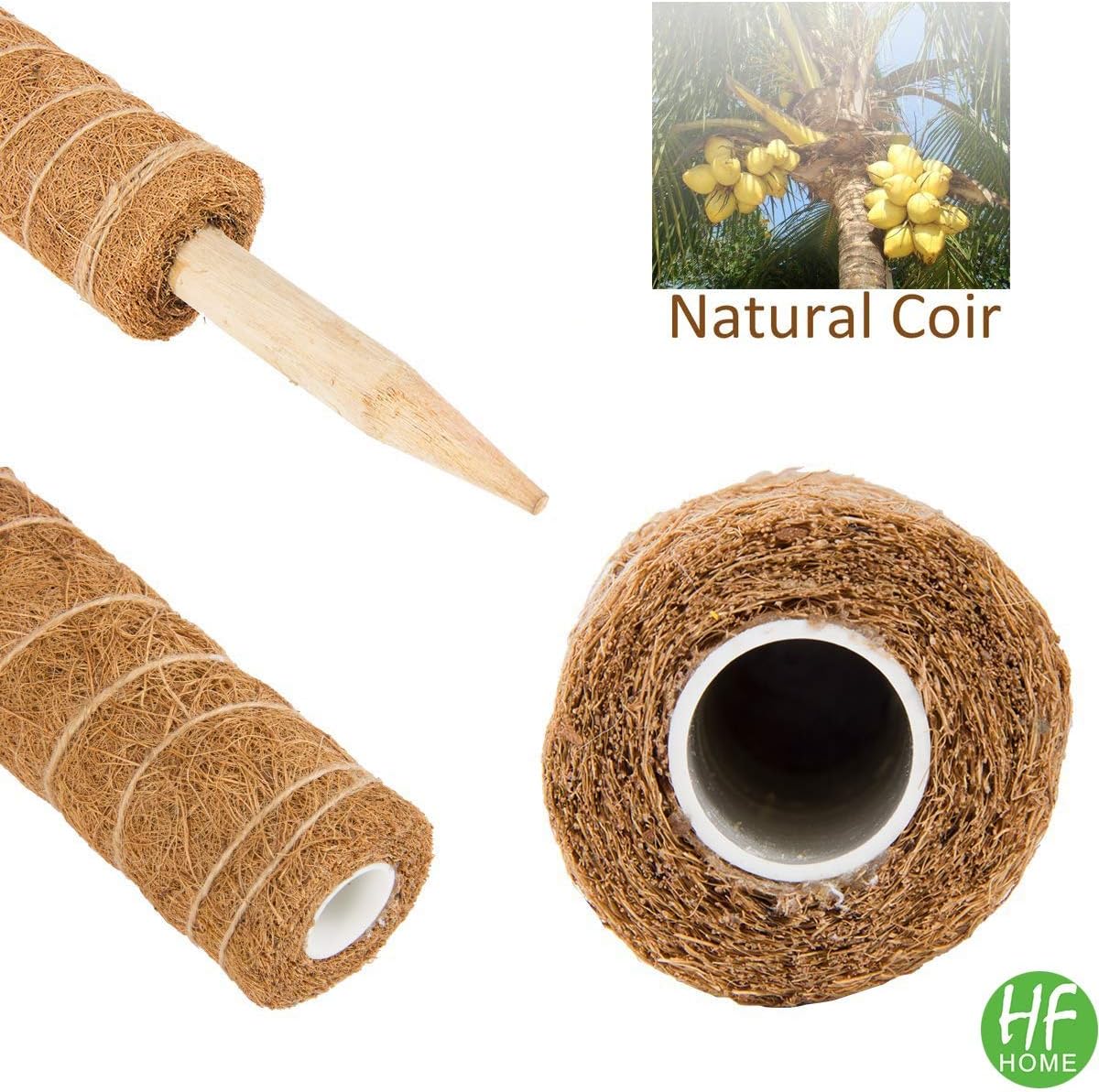 Full Length 21 Inch Moss Pole, 2 Pcs 16 Inches Coir Totem Poles Plant Support for Climbing Indoor Potted Plants, Coco Sticks for Monstera Pothos Creeper Philodendron House Plants Live Grow