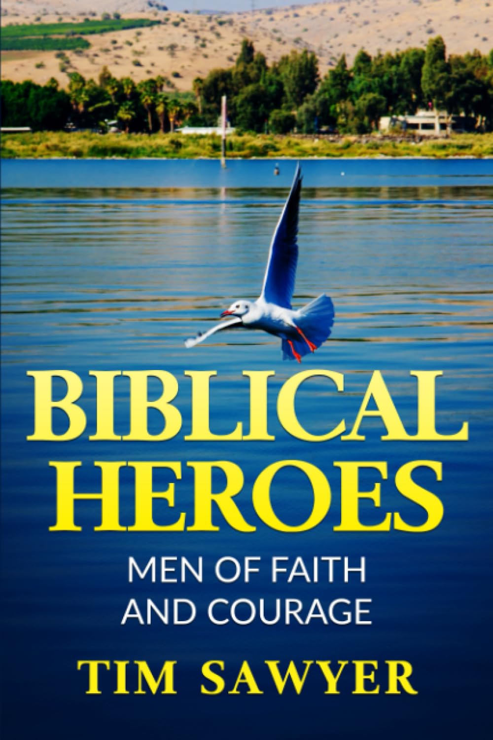 BIBLICAL HEROES: MEN OF FAITH AND COURAGE: 6 (Biblical Characters)