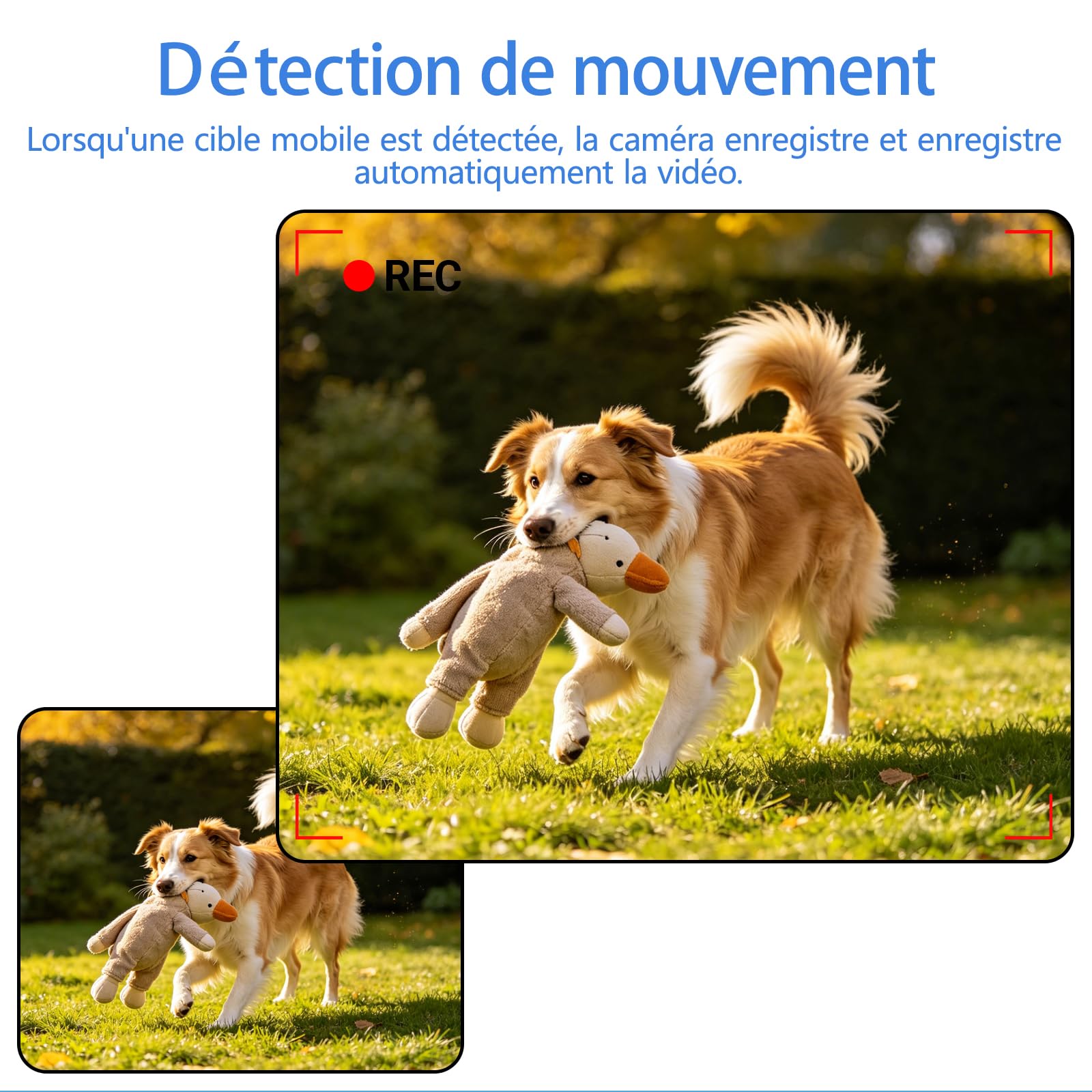 Mini caméra,caméra de Surveillance Haute définition 1080P,Taille compacte,avec détection de Mouvement,Vision Nocturne,Fonction d'enregistrement en Boucle,adaptée à la Maison au Bureau au mag