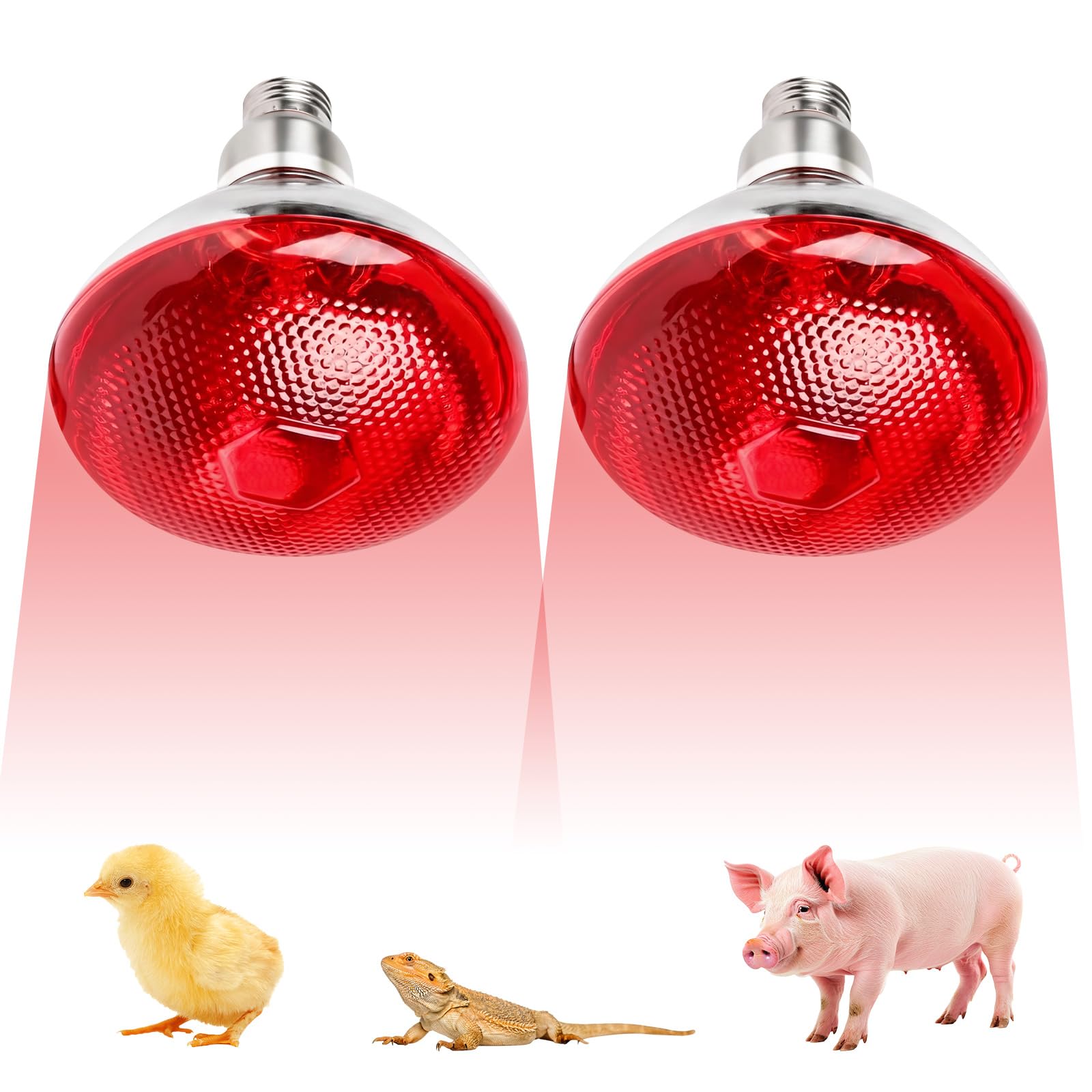 WORLUDE 2 Pack Infrared Heat Lamp Bulb - 250W Poultry Heating Bulb