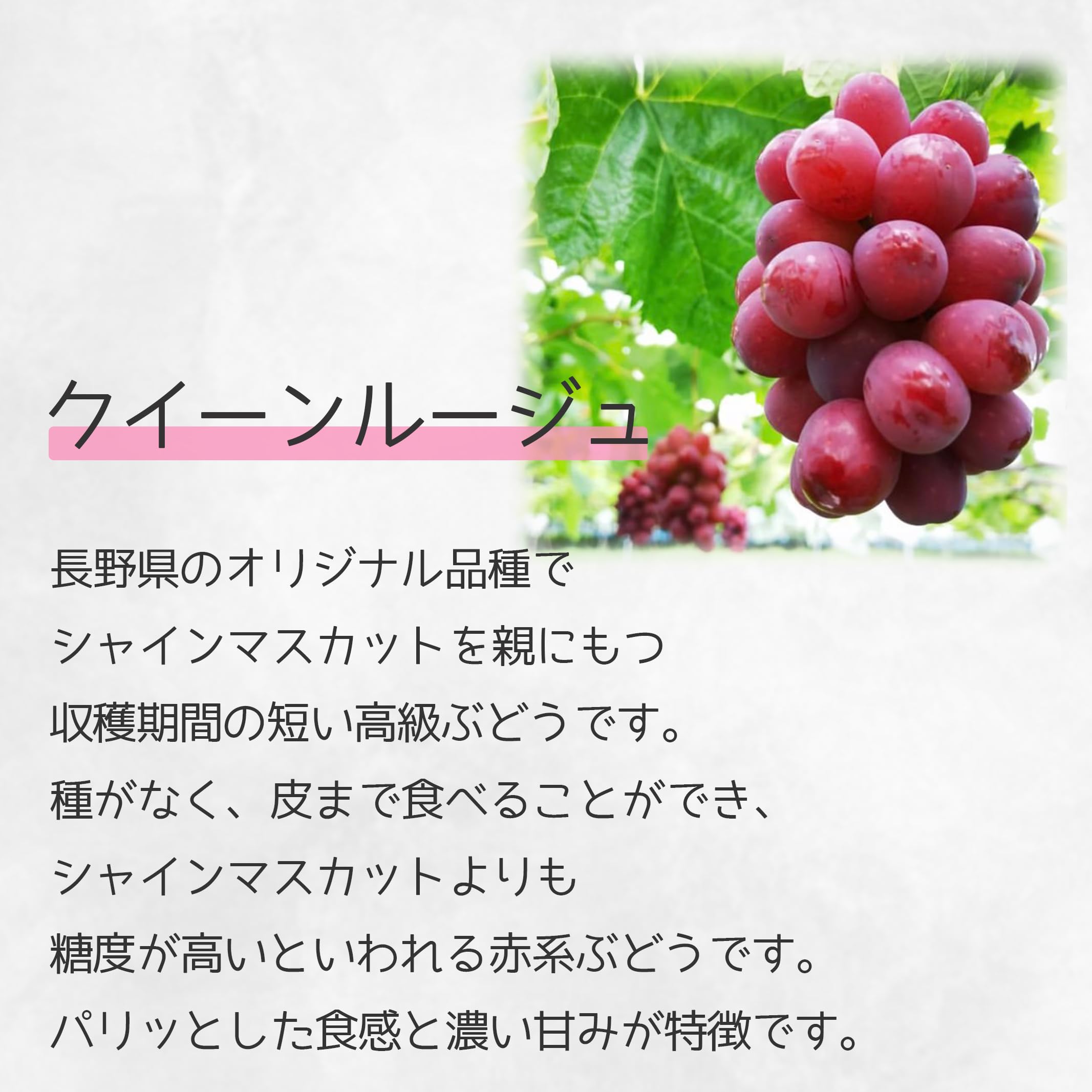 Amazon.co.jp: 【 クイーンルージュ 】 長野県産 2房(1房約400g前後