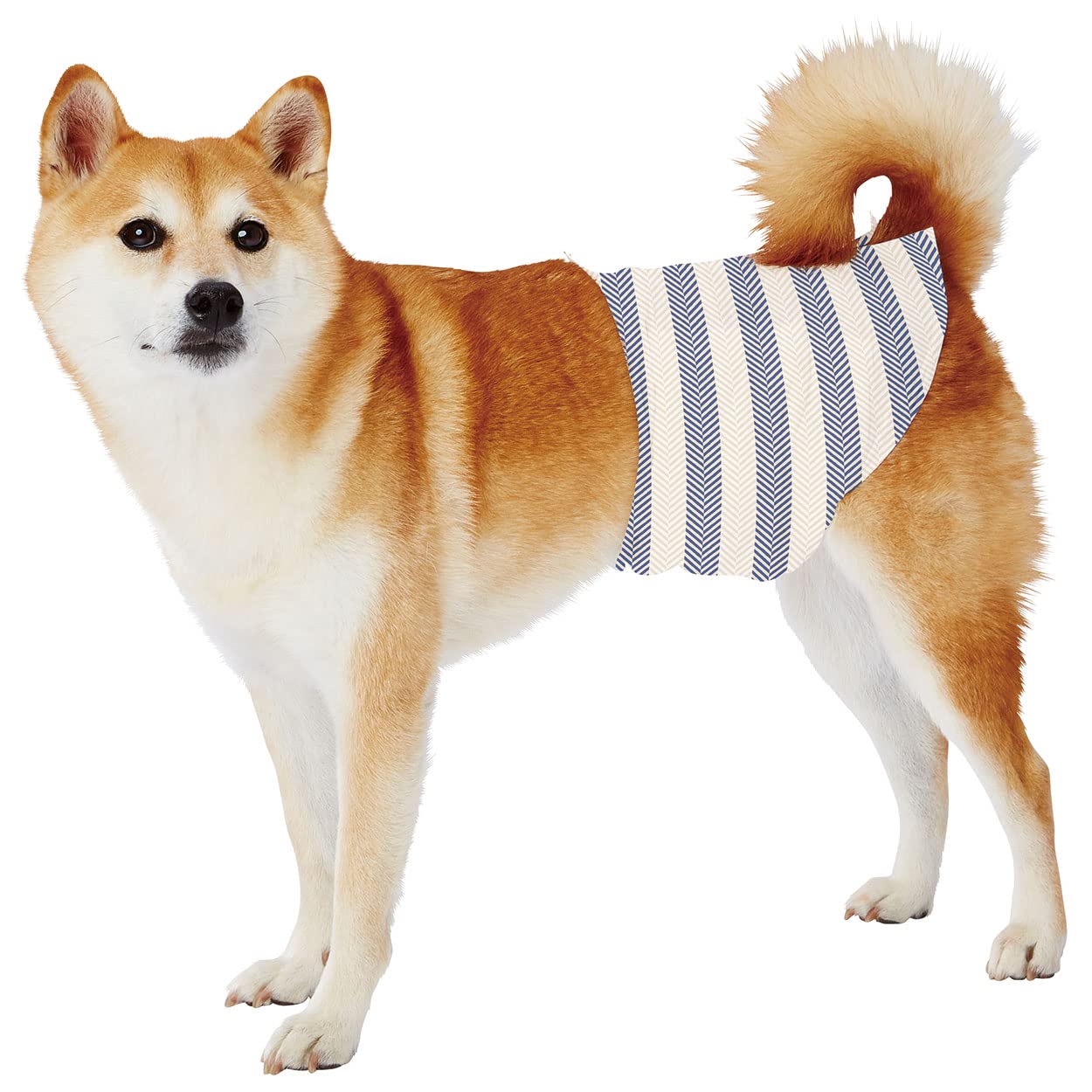 Petio 犬用オムツ（おむつサイズ：L）｜トイレ用品、ペットシーツ