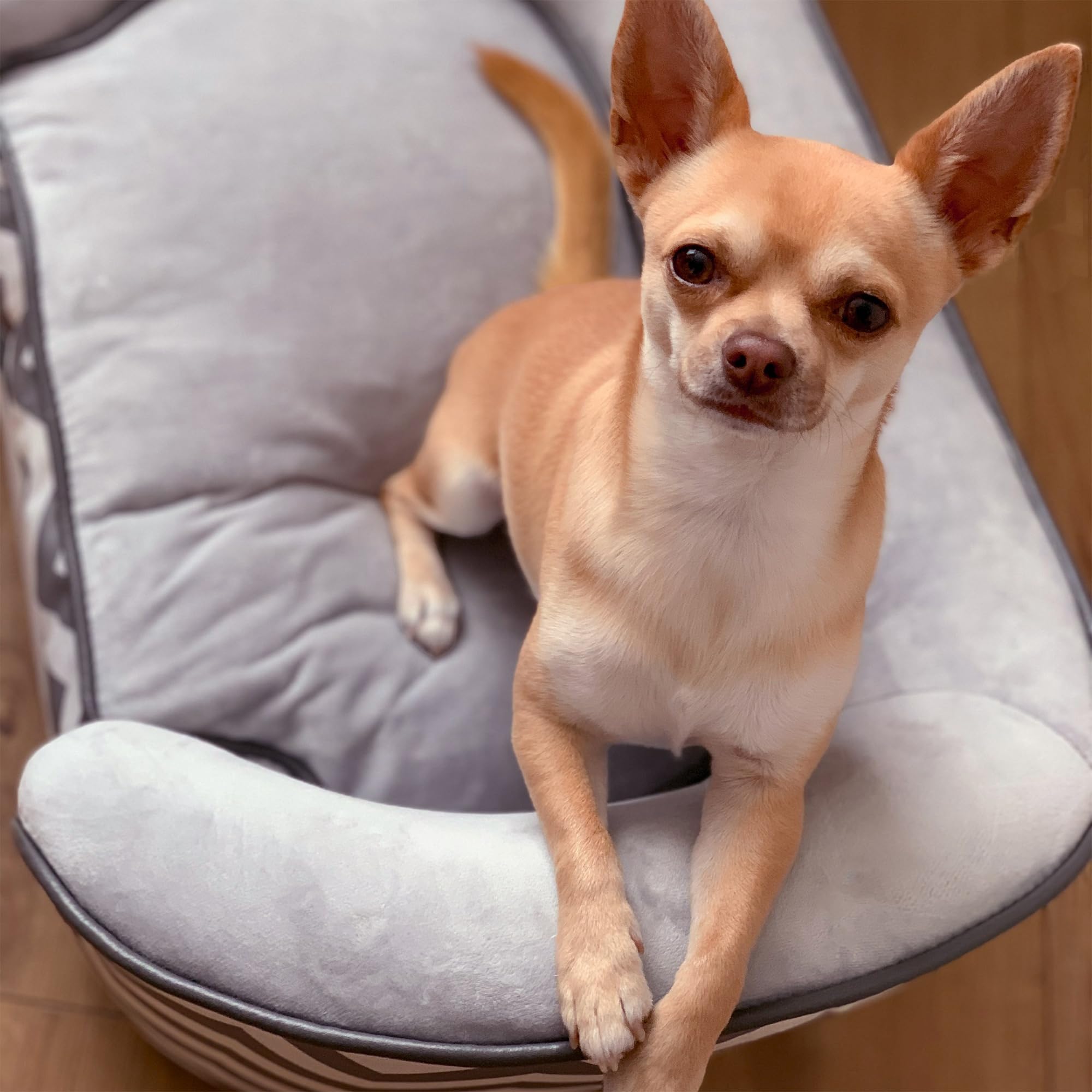 PawHut Sofá para Mascotas Sofá Acolchado para Perros y Gatos de Madera Cama Elevada para Perros y Gatos con Cojín Grueso Patas y Bolsillo de Almacenaje 68,5x40,5x40,5 cm Gris