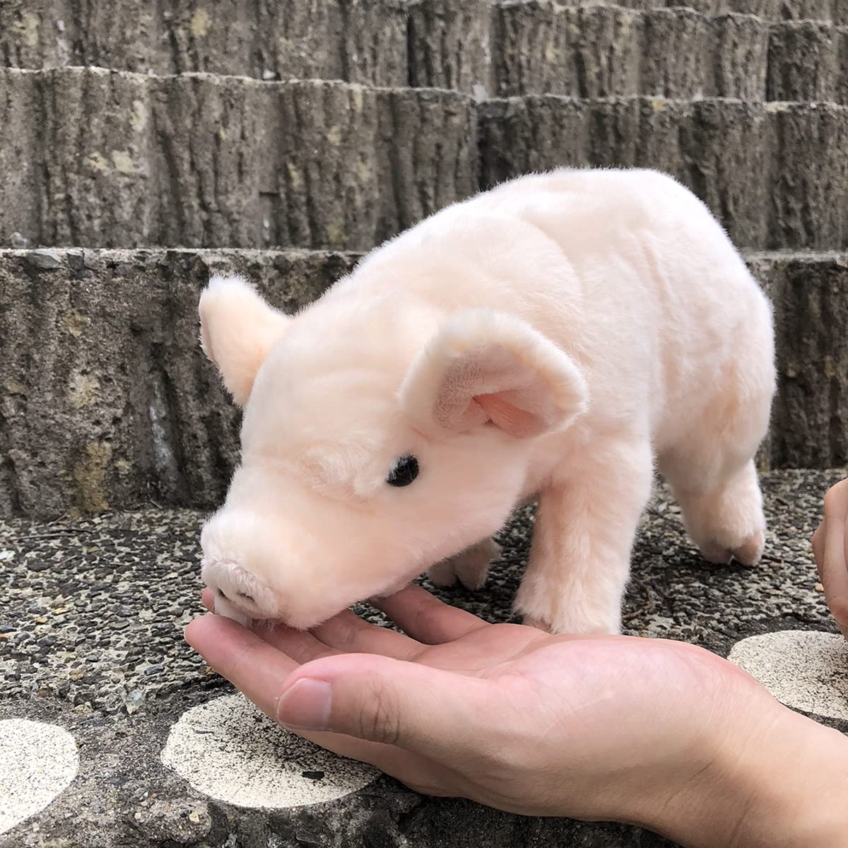 こんぺいとう　作家様　ぬいぐるみ　豚　オシャレブタちゃん　テディベア 101208ok_CS07_1