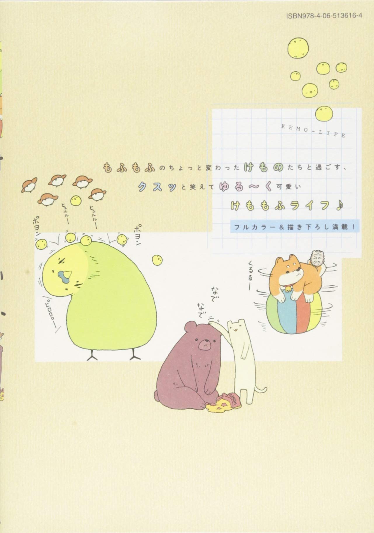 Amazon.com: 雪本 愁二: books, biography, latest update