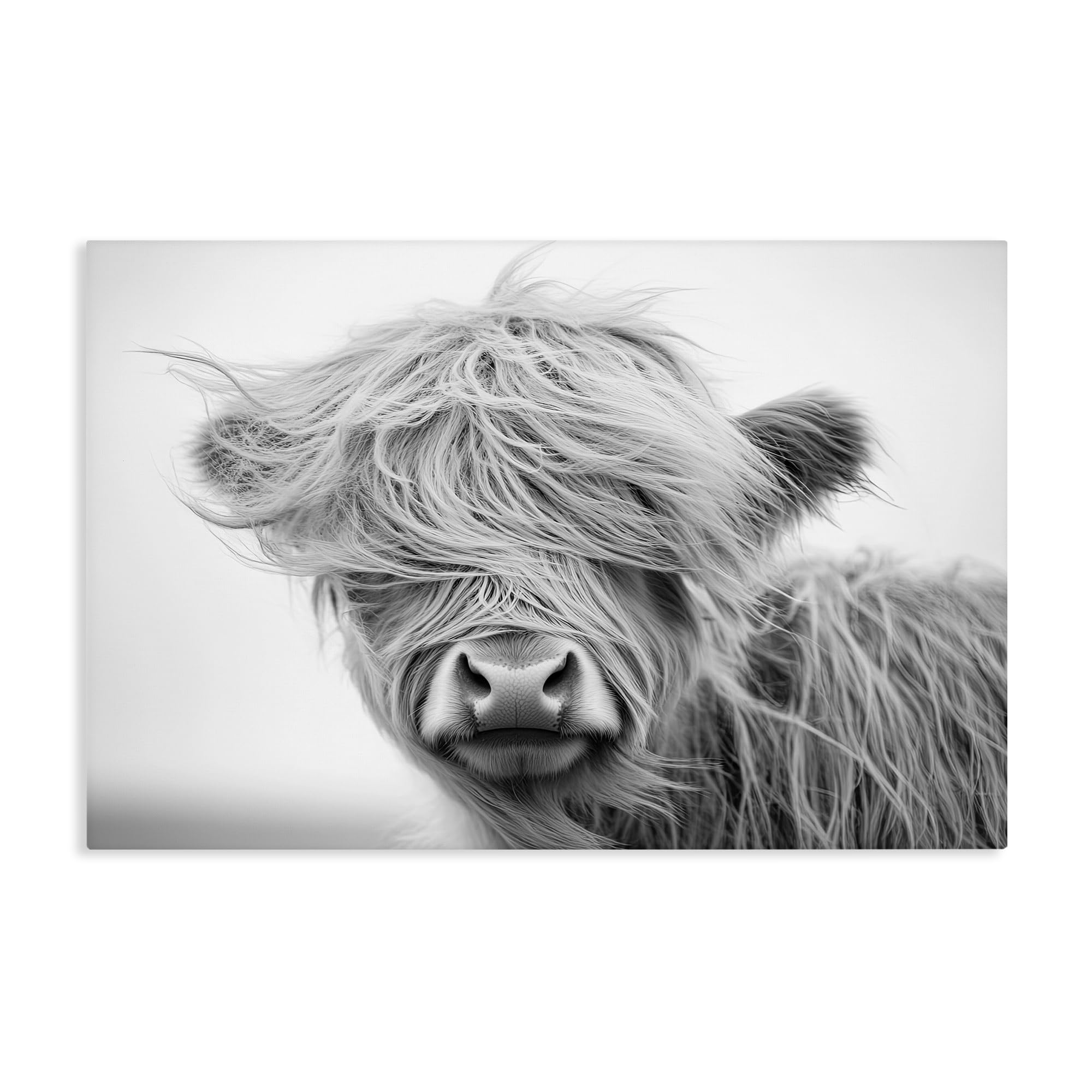 Stupell Industries 'Easy Breezy Cattle', Canvas Art, 30 x 20 Inches, Easy to Hang and Sturdy, Made in USA, by Tina LeCour