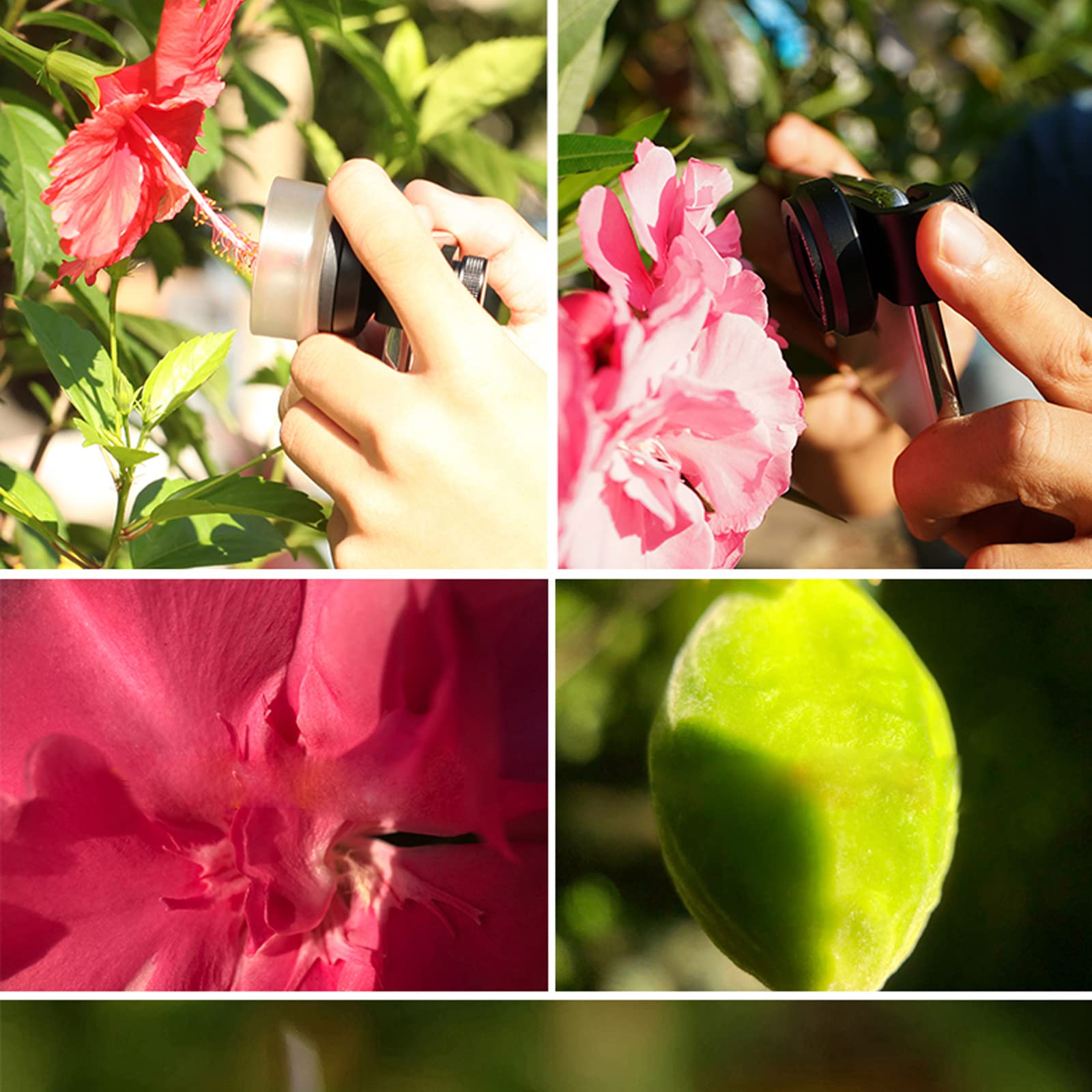 Super Makro Handy Externe Linse 75 mm Teleobjektiv Makro Objektiv 10X Maginierung für Insekten Blumen Schmuck Schießen