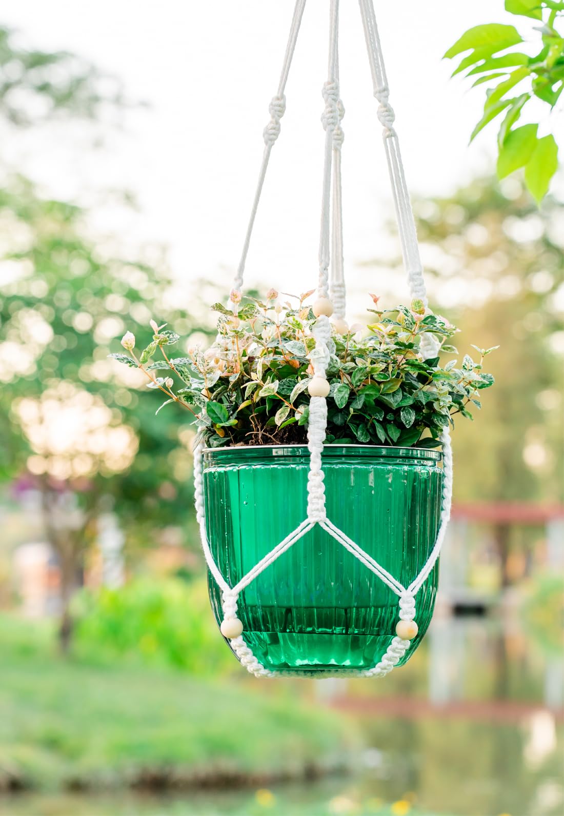 Pot De Fleurs Suspendu Auto-Arrosage 21,6 Cm - Panier Suspendu Avec Crochets Pour Intérieur Et Extérieur, Drainage Et Réservoir