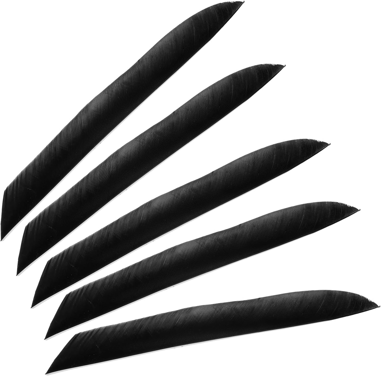 PATIKIL Arrows Vanes, 50 Pack 11 Inch Turkey Feather Arrow Fletching Archery Arrow Feather Left Wing Shield Fletch for DIY Target Shooting