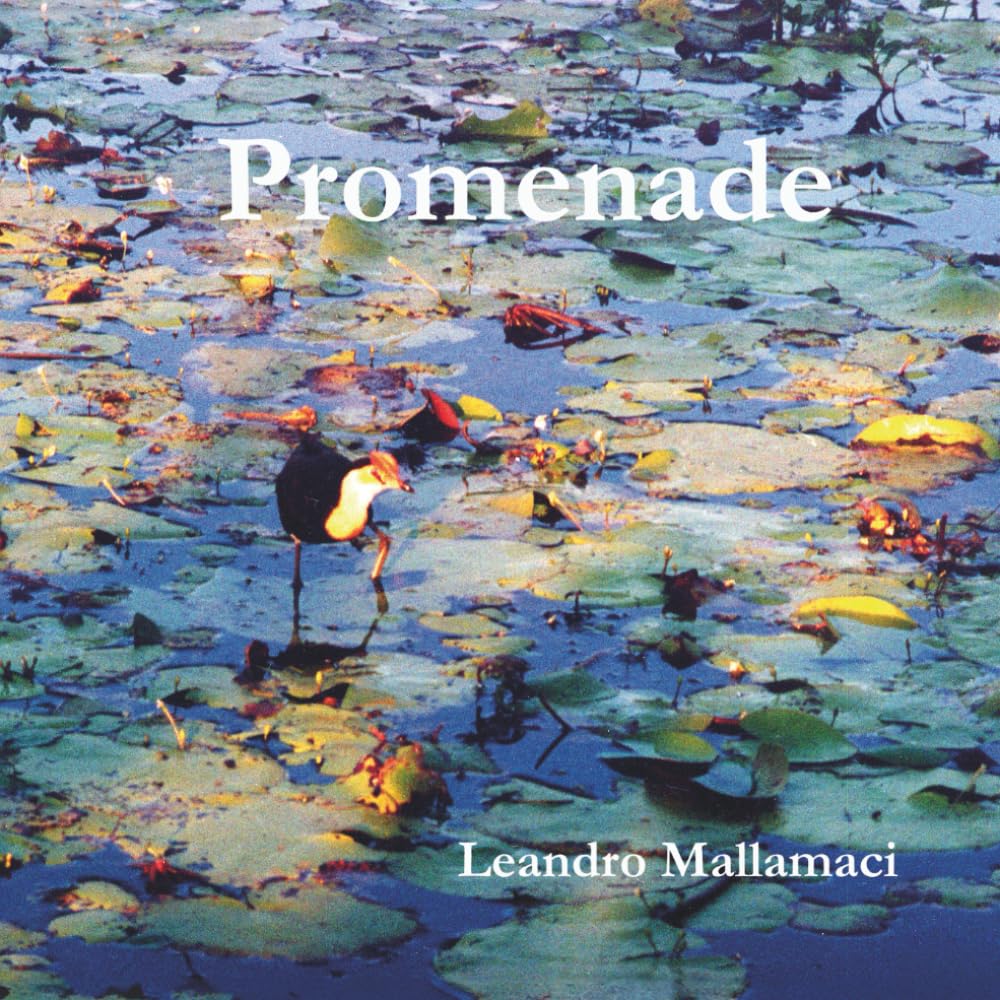 Promenade (Il mondo dentro)