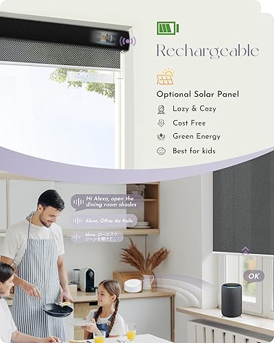 Miniatura 3 de Graywind Cortinas solares motorizadas de malla filtrante de luz, compatible con control remoto Alexa Google, persianas con cenefa para oficina en